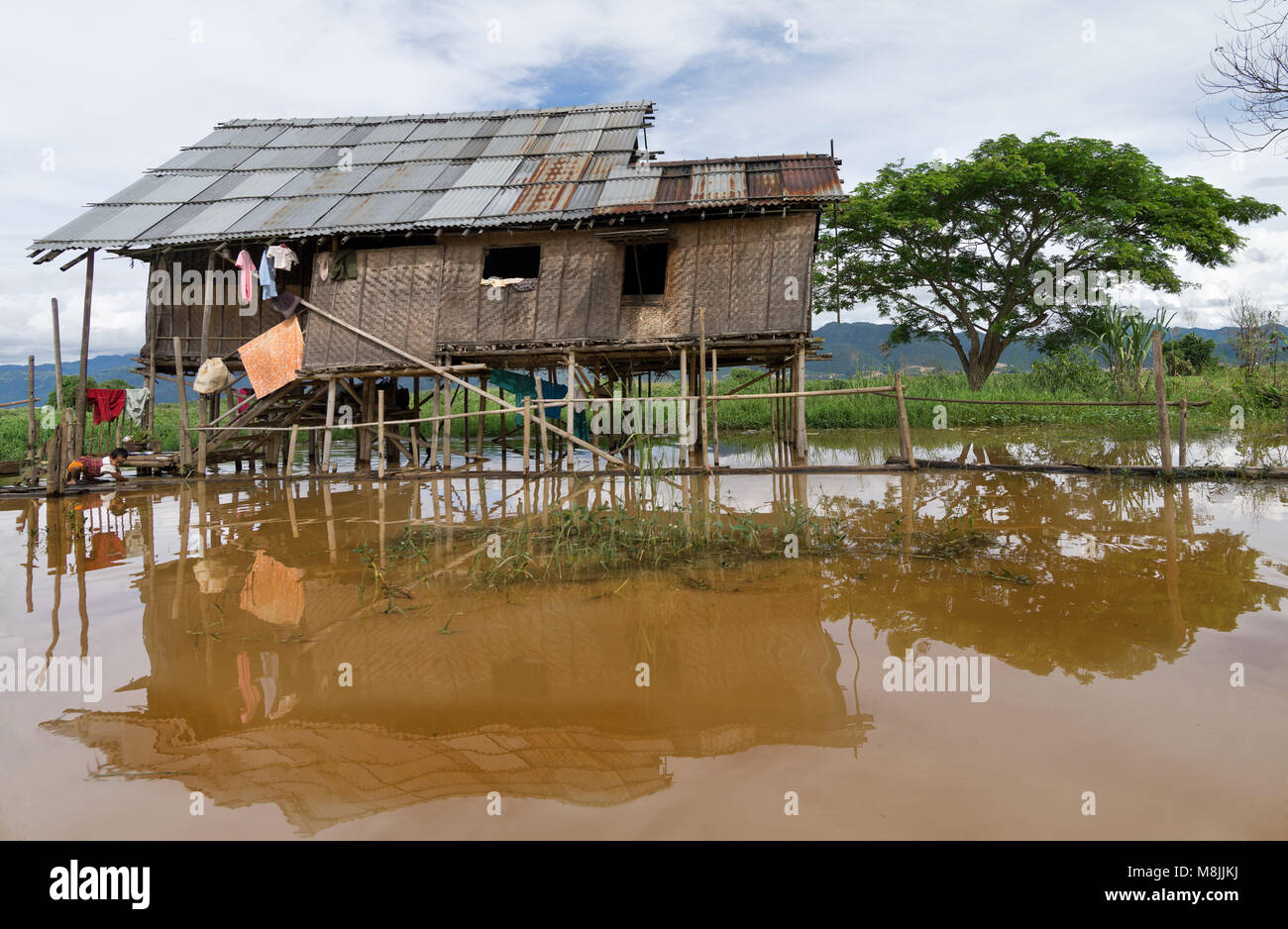 Las plantaciones de arroz en la isla indonesia de Bally Fotografía de stock  - Alamy