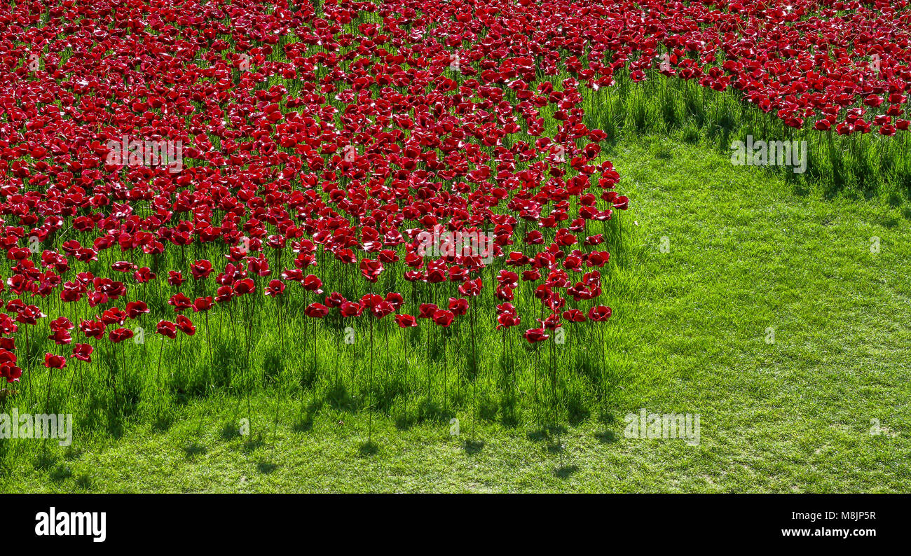 Sangre arrasaron tierras y mares de rojo por Pablo Cummins es una instalación de arte en conmemoración de 888,246 fallecidos en la Primera Guerra Mundial Foto de stock
