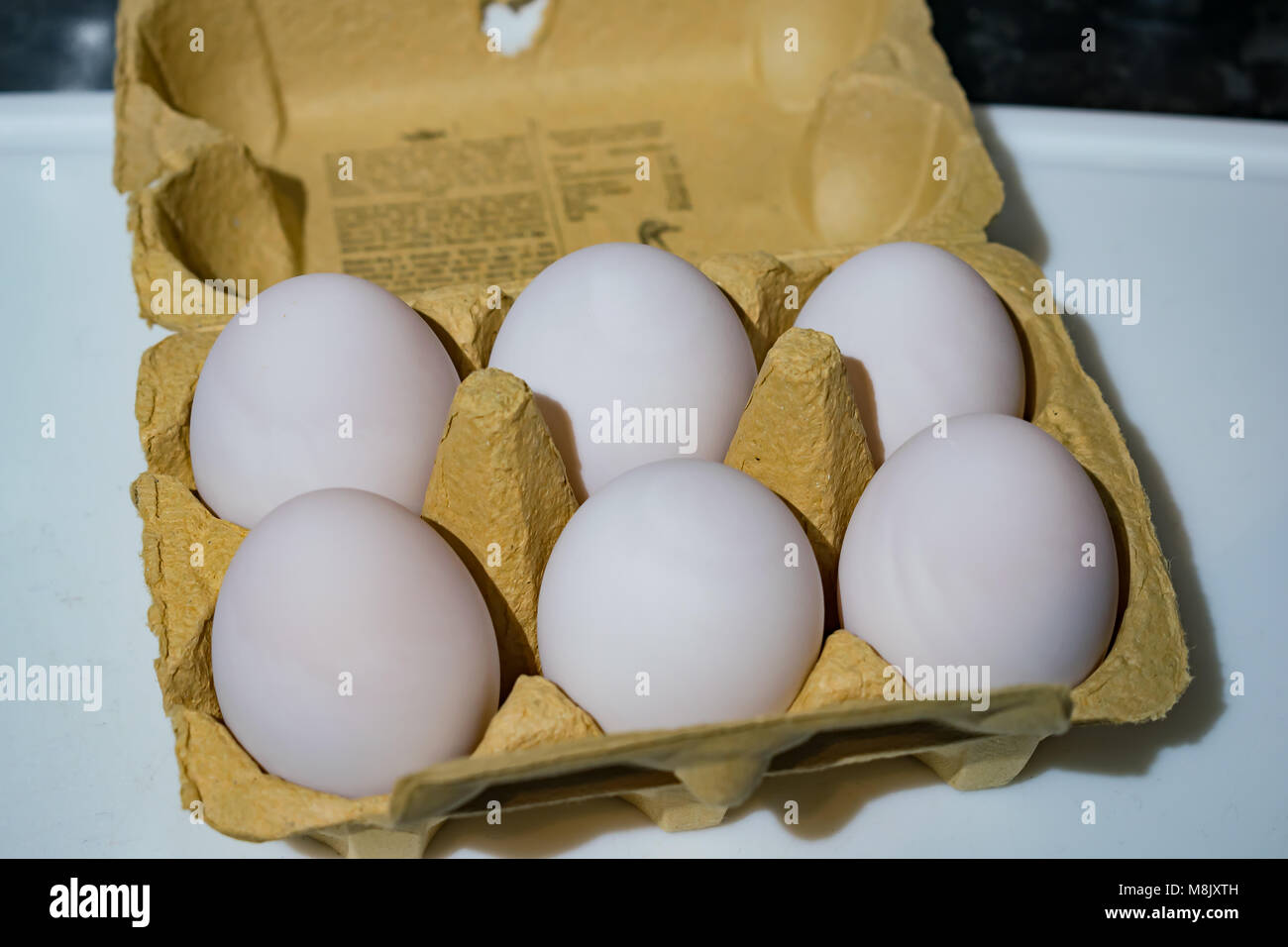 6 huevos de pato Foto de stock