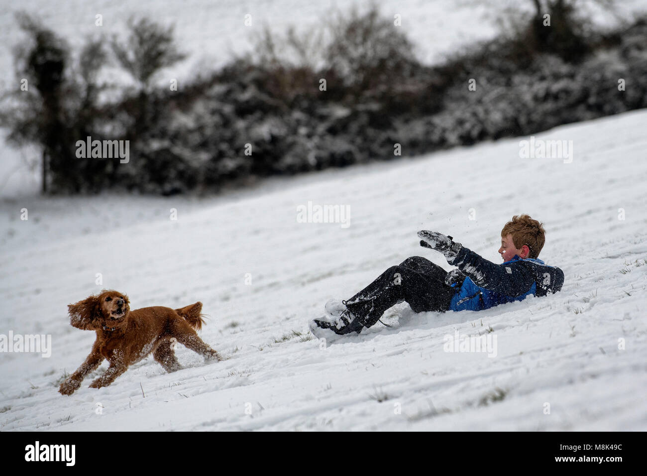 Un grupo de niños disfrutan de las condiciones trineo sobre una colina en el valle de Santa Catalina, justo a las afueras de Bath en Somerset después de las fuertes nevadas. Foto de stock