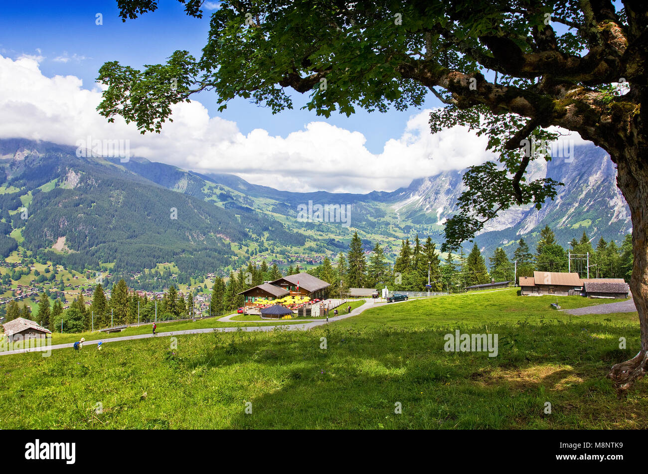 , Brandegg Grindlewald, Suiza Foto de stock