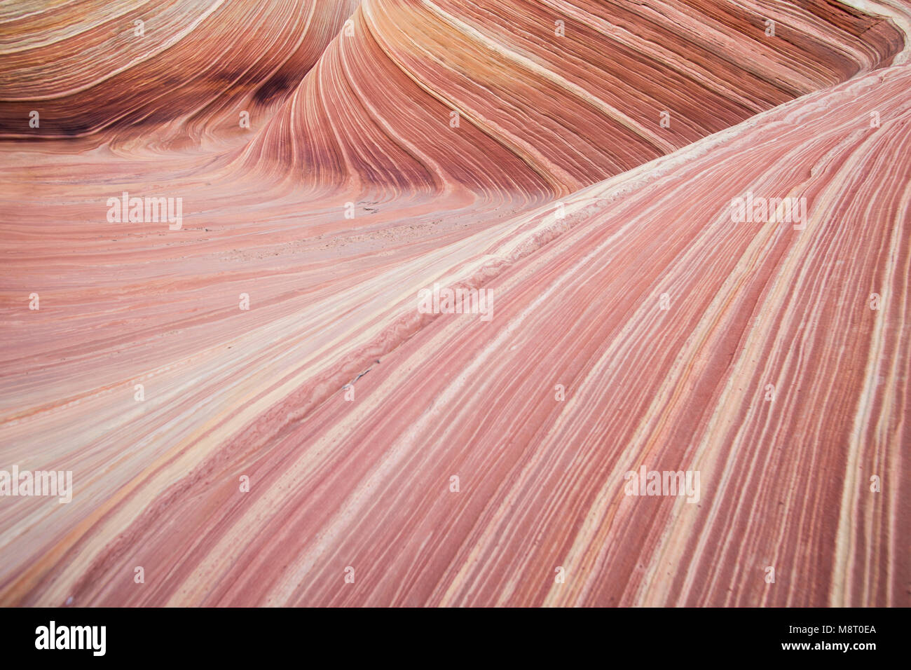 La ola formación de roca arenisca, ubicado en Coyote Buttes North, Paria Canyon, Vermillion Cliffs Wilderness. Foto de stock