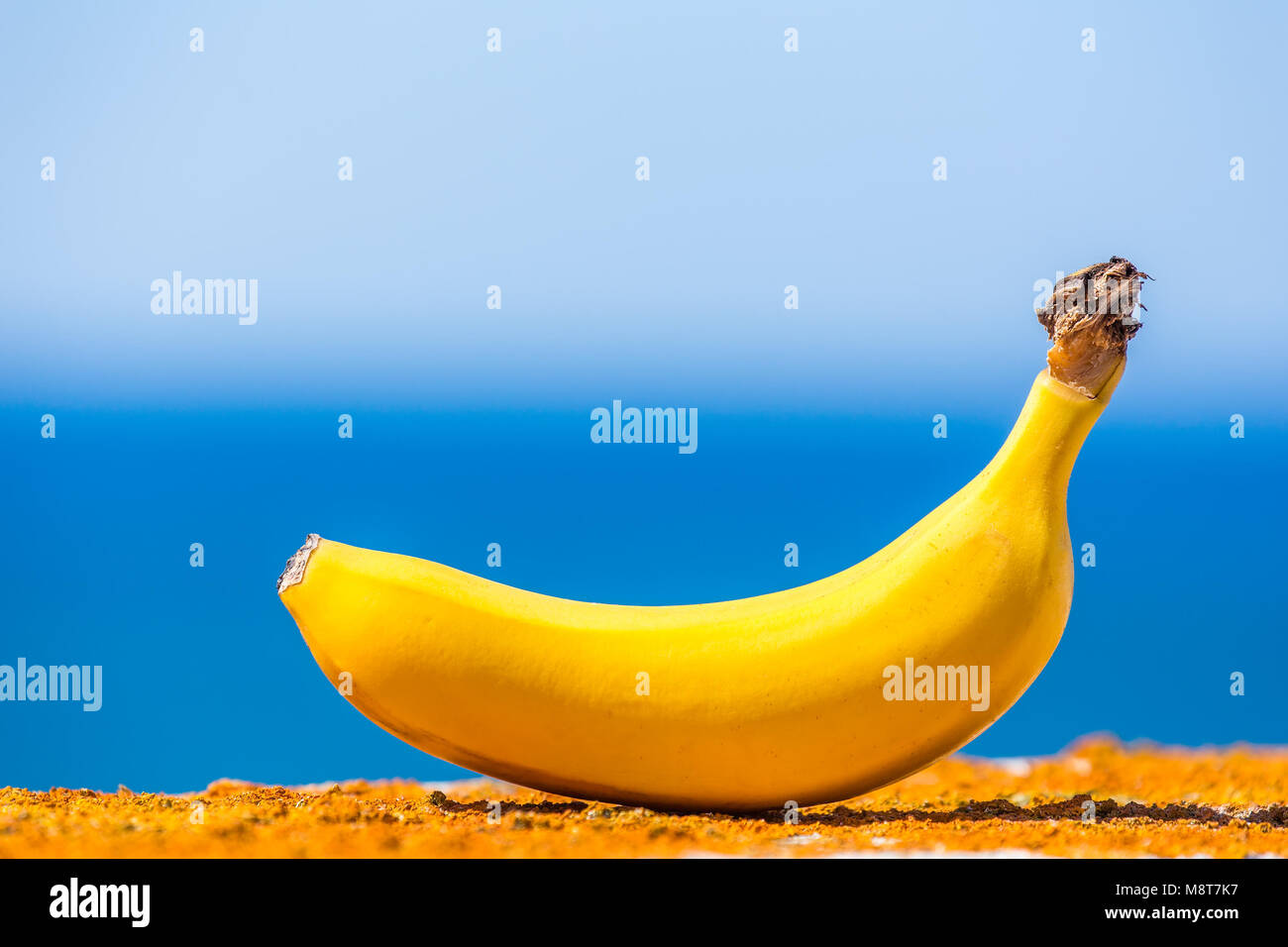 Uno amarillo todo el plátano con el azul del océano y el cielo Foto de stock