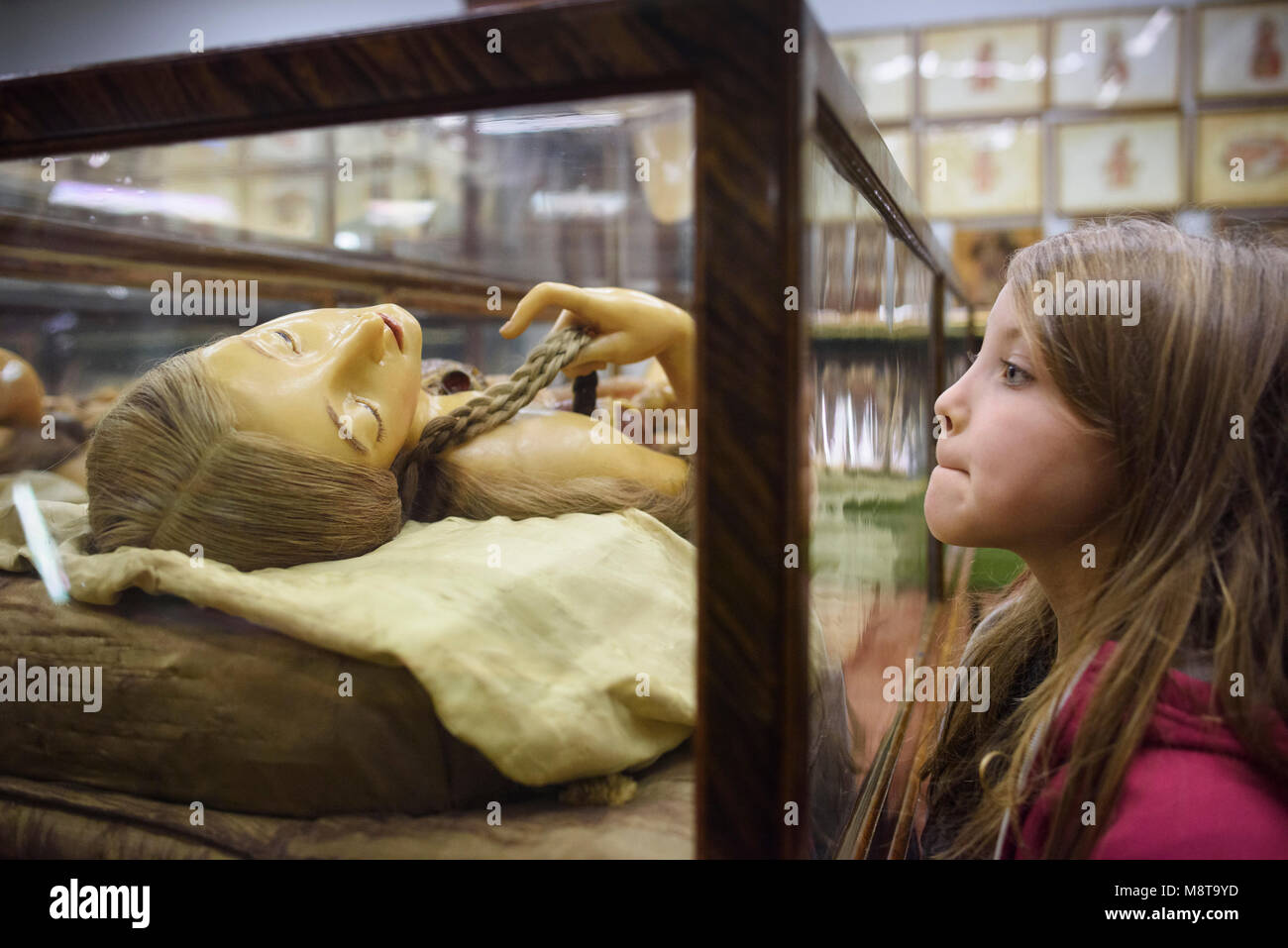 Florencia. Italia. Niño (7 años) mirando a uno de los modelos anatómicos en cera del siglo xviii en la exhibición en La Specola, Museo de Zoología y su natural Foto de stock