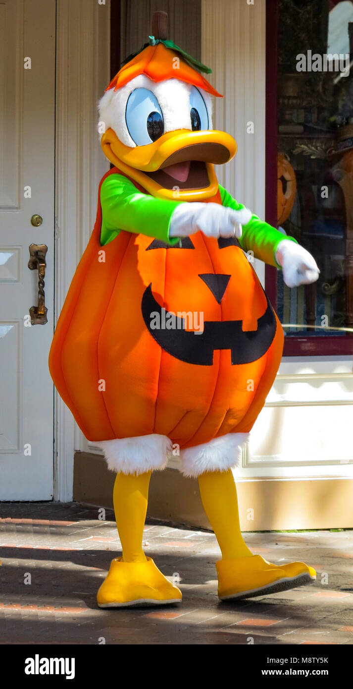 ANAHEIM, California - 16 de septiembre de 2015 - El Pato Donald en  Halloween con un disfraz de calabaza Fotografía de stock - Alamy