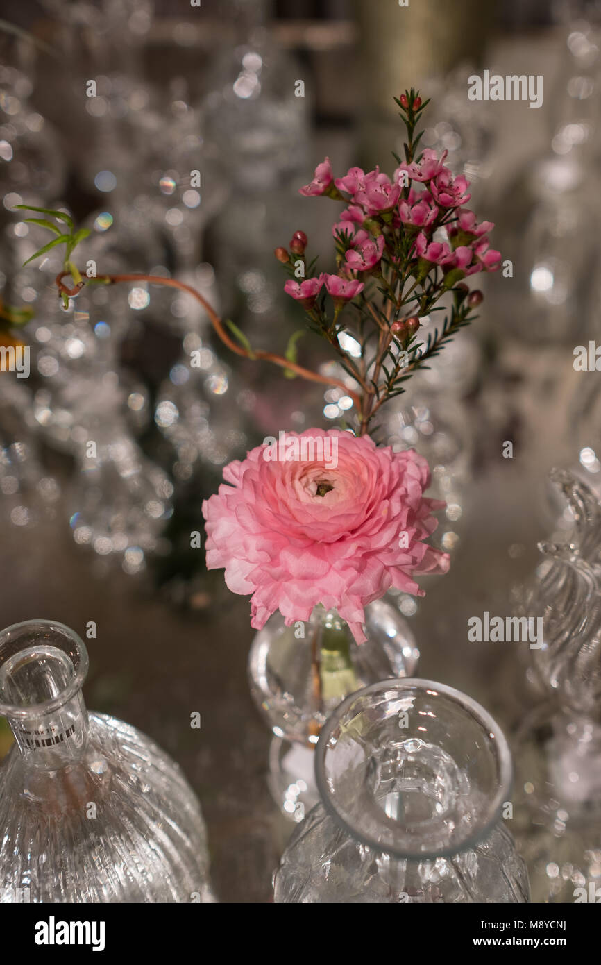Tabla color rosa decoradas con flores de romero y clavel en jarrones de cristal de vidrio Foto de stock