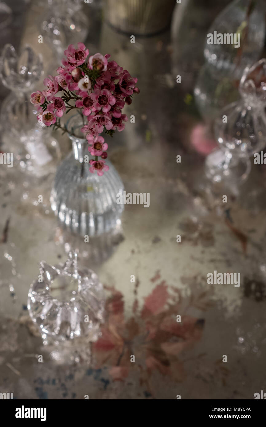 Tabla color rosa decoradas con flores de romero en vidrio jarrón de cristal Foto de stock