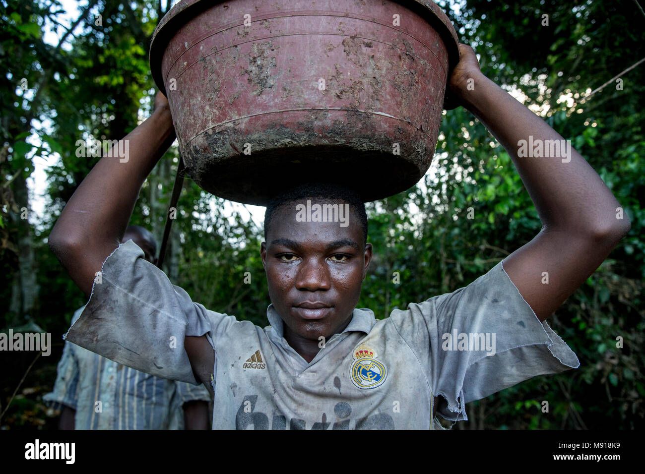 Costa de Marfil. El agricultor joven llevando cosechadas las mazorcas de cacao. Foto de stock