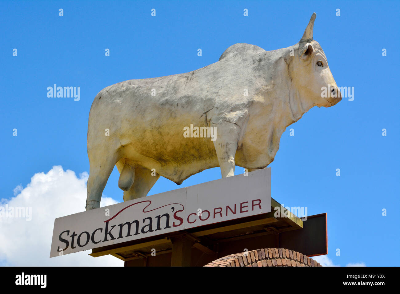 Rockhampton, Queensland, Australia - 28 de diciembre de 2017. Estatua del Gran Toro Blanco en el techo de un edificio comercial en Gladstone Road en Rockhampton, QL Foto de stock