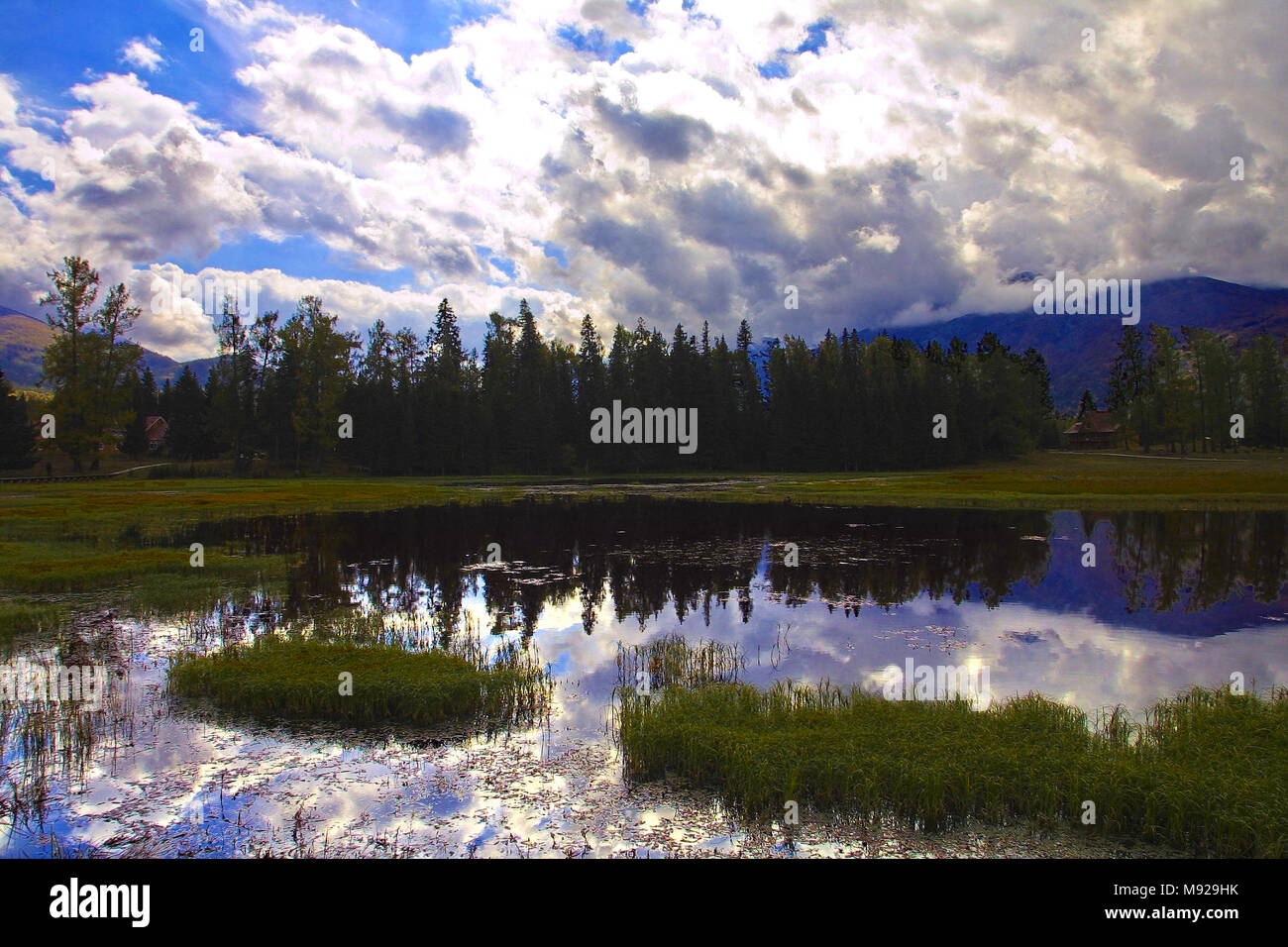 A3 C Fotos E Imagenes De Stock Alamy