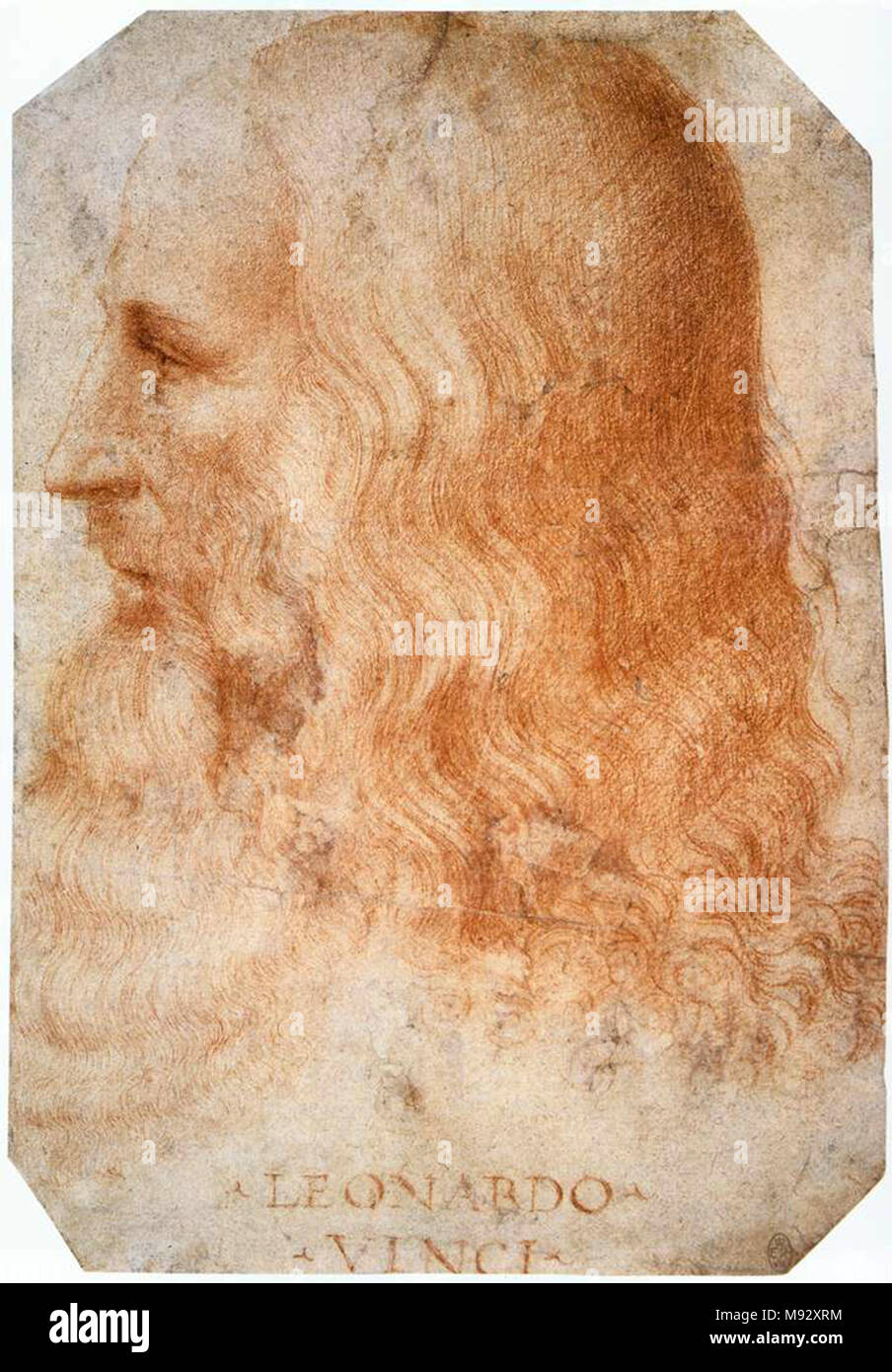 Leonardo da Vinci, Leonardo di ser Piero da Vinci (1452 - 1519), el polímata renacentista italiano Foto de stock