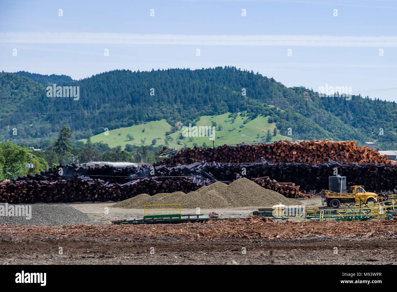 Troncos apilados listos para usar en C&D Empresa maderera molino de madera Riddle, Oregón Foto de stock