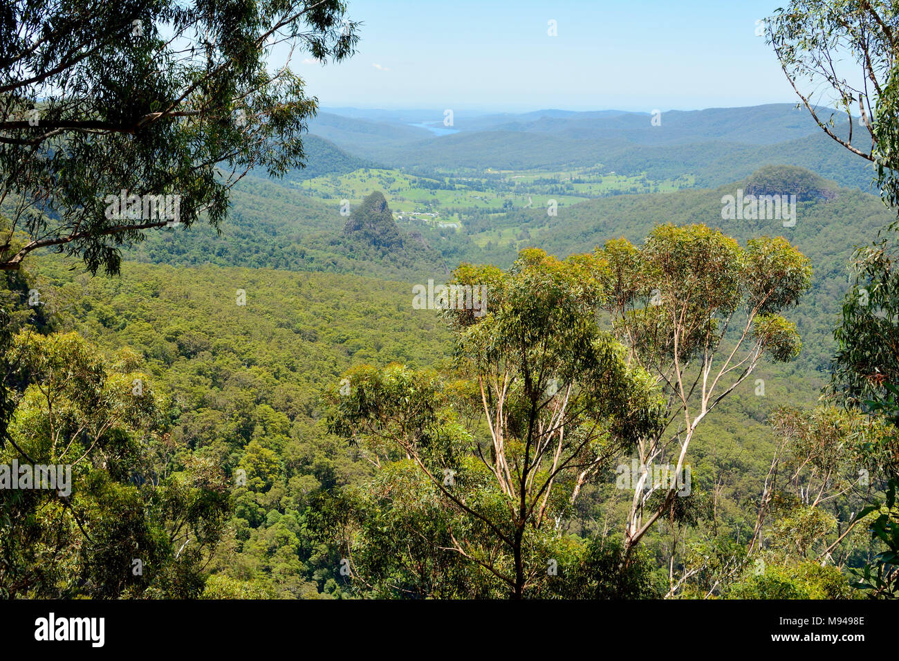 Vista desde el mirador de la calandria en el Parque Nacional de Lamington, Queensland, Australia. Foto de stock