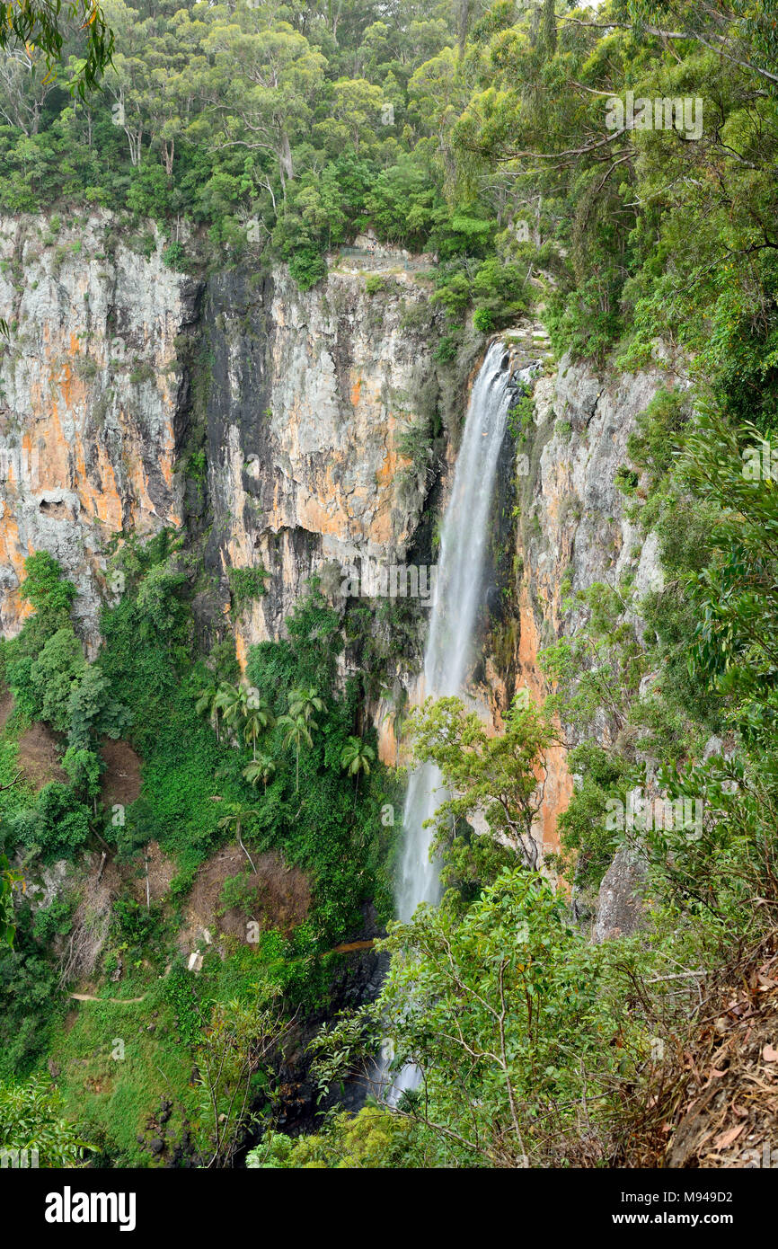 Purling Brook cae en Parque Nacional Springbrook, Queensland, Australia. Foto de stock