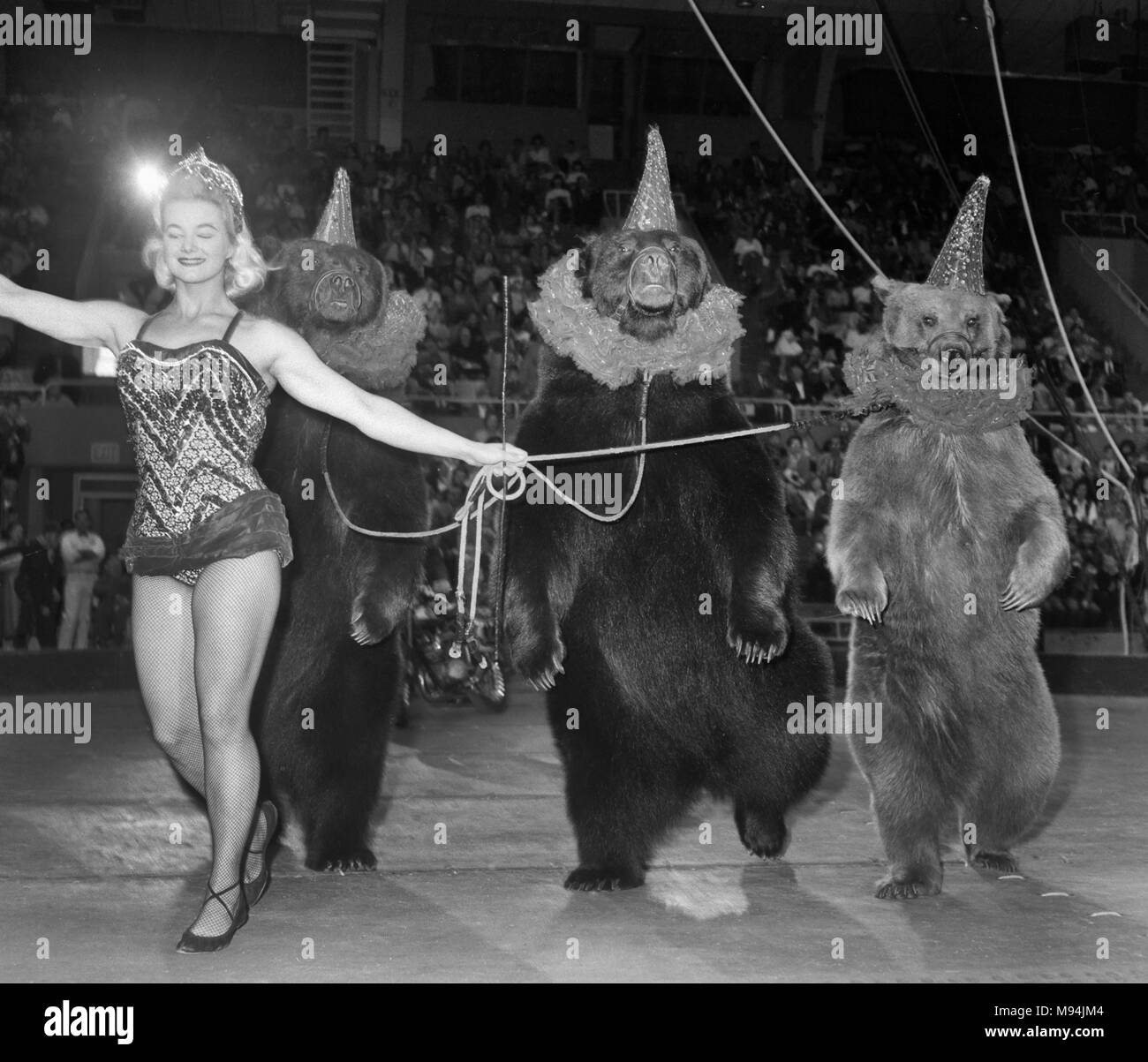 Un circo con osos entrenados en la zona rural de Georgia, ca. 1960. Foto de stock