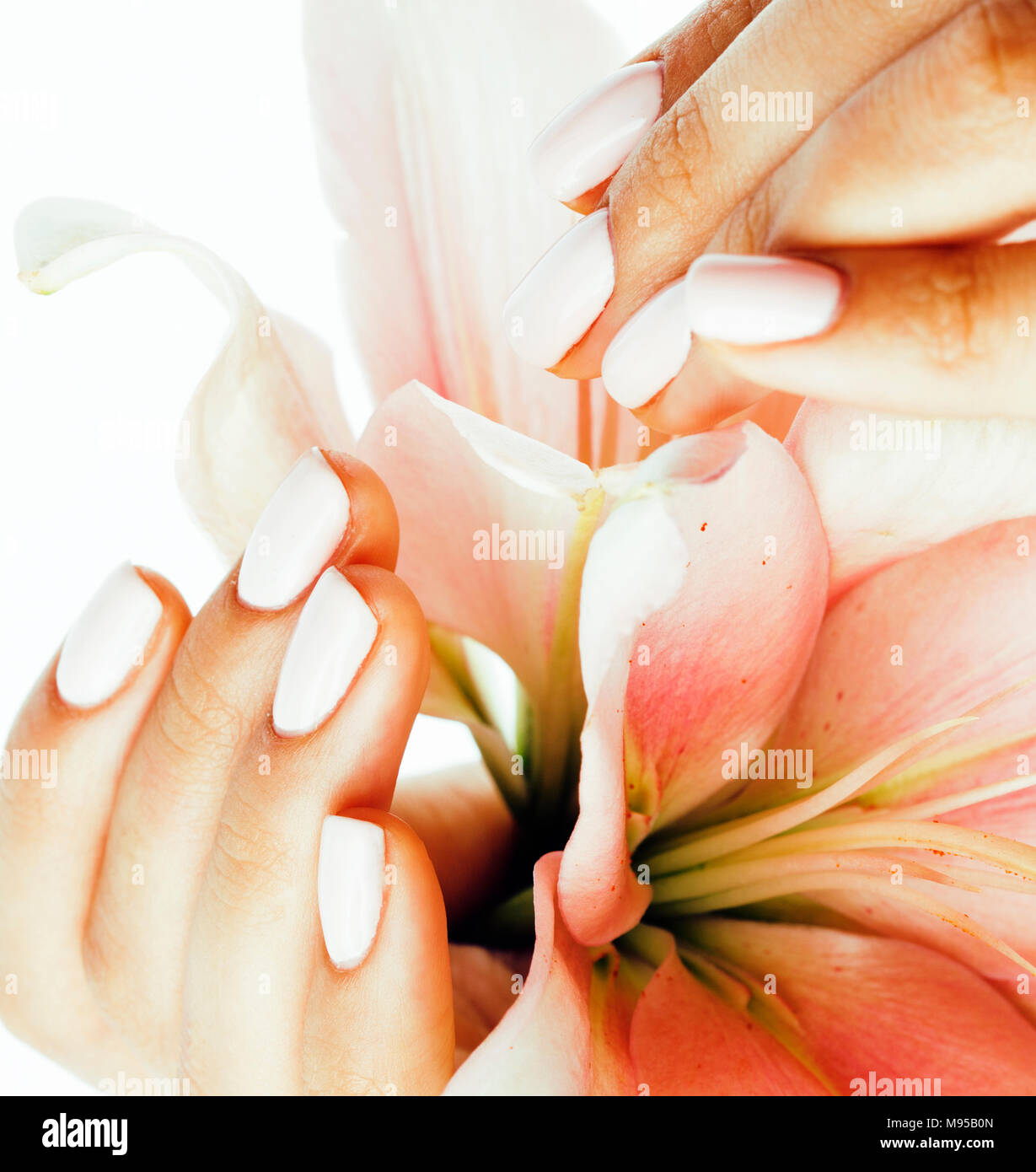 Belleza delicadas manos con manicura celebración flor lily cerrar  Fotografía de stock - Alamy