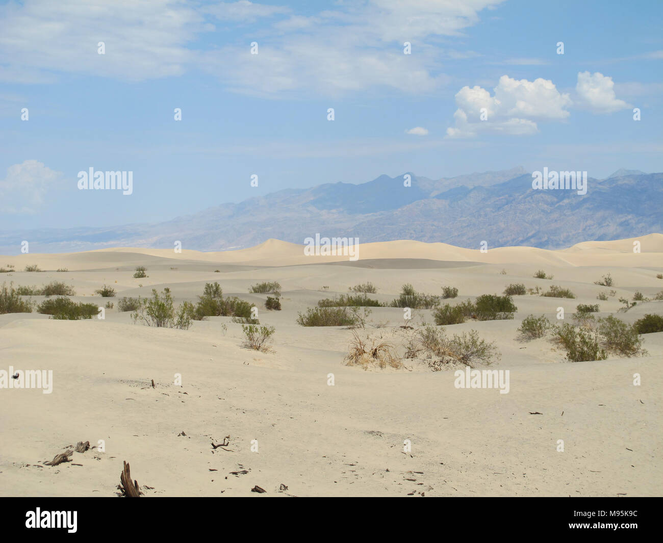 Dunas de arena en el Parque Nacional Valle de la muerte. Stovepipe Wells, California-Nevada, EE.UU.. Foto de stock