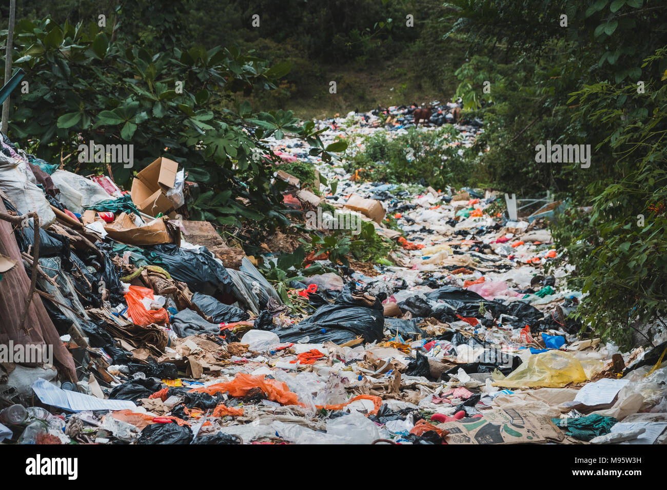 Relleno sanitario en los bosques - vertedero de basura, desechos desposit - Contaminación ambiental Foto de stock