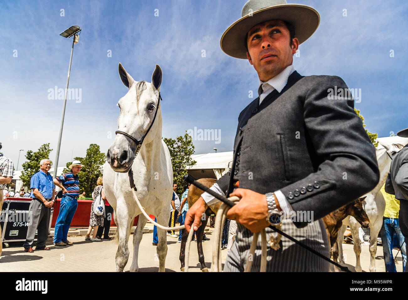 Córdoba, Andalucía, España : jinete andaluz y thoroughbred mare en la Feria del Caballo de Córdoba. Foto de stock