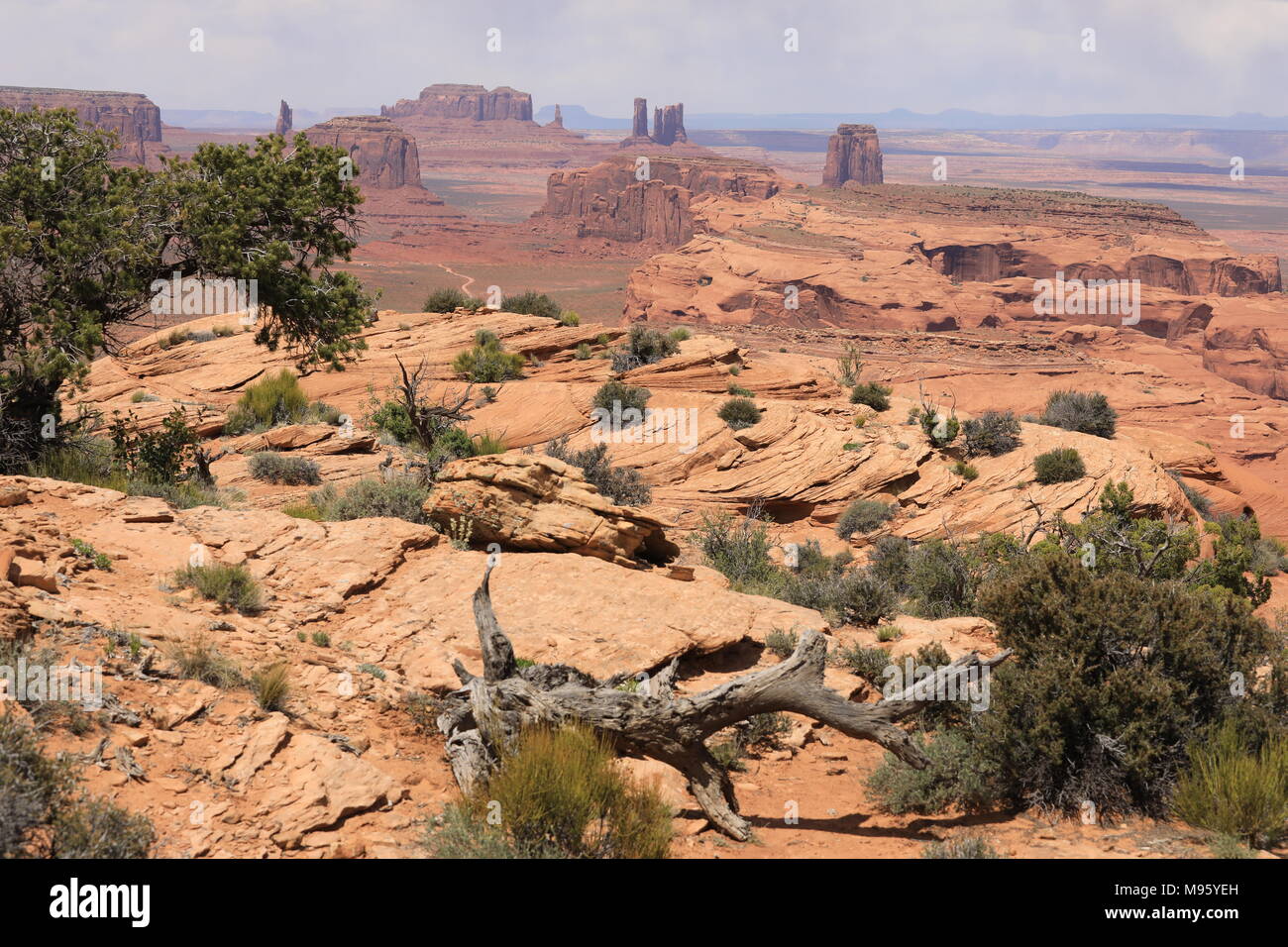 Árboles y rocas estratificadas Monument Valley del bastidor inferior, de Hunts mesa Foto de stock