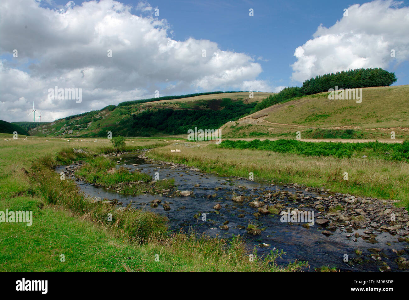 Bothwell, Dunbar agua común, Scottish Borders Foto de stock