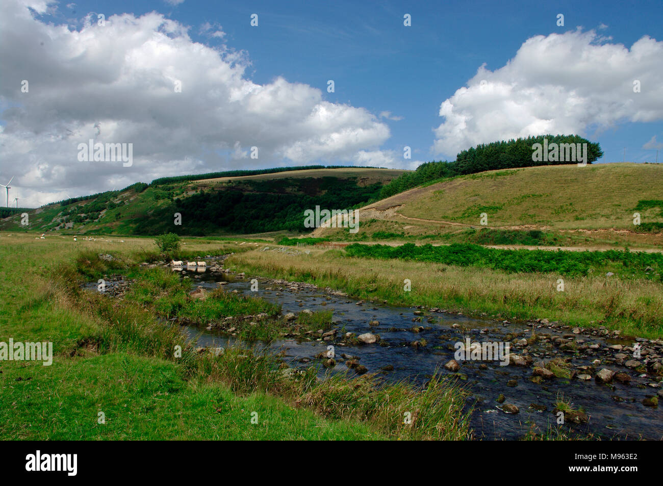 Bothwell, Dunbar agua común, Scottish Borders Foto de stock