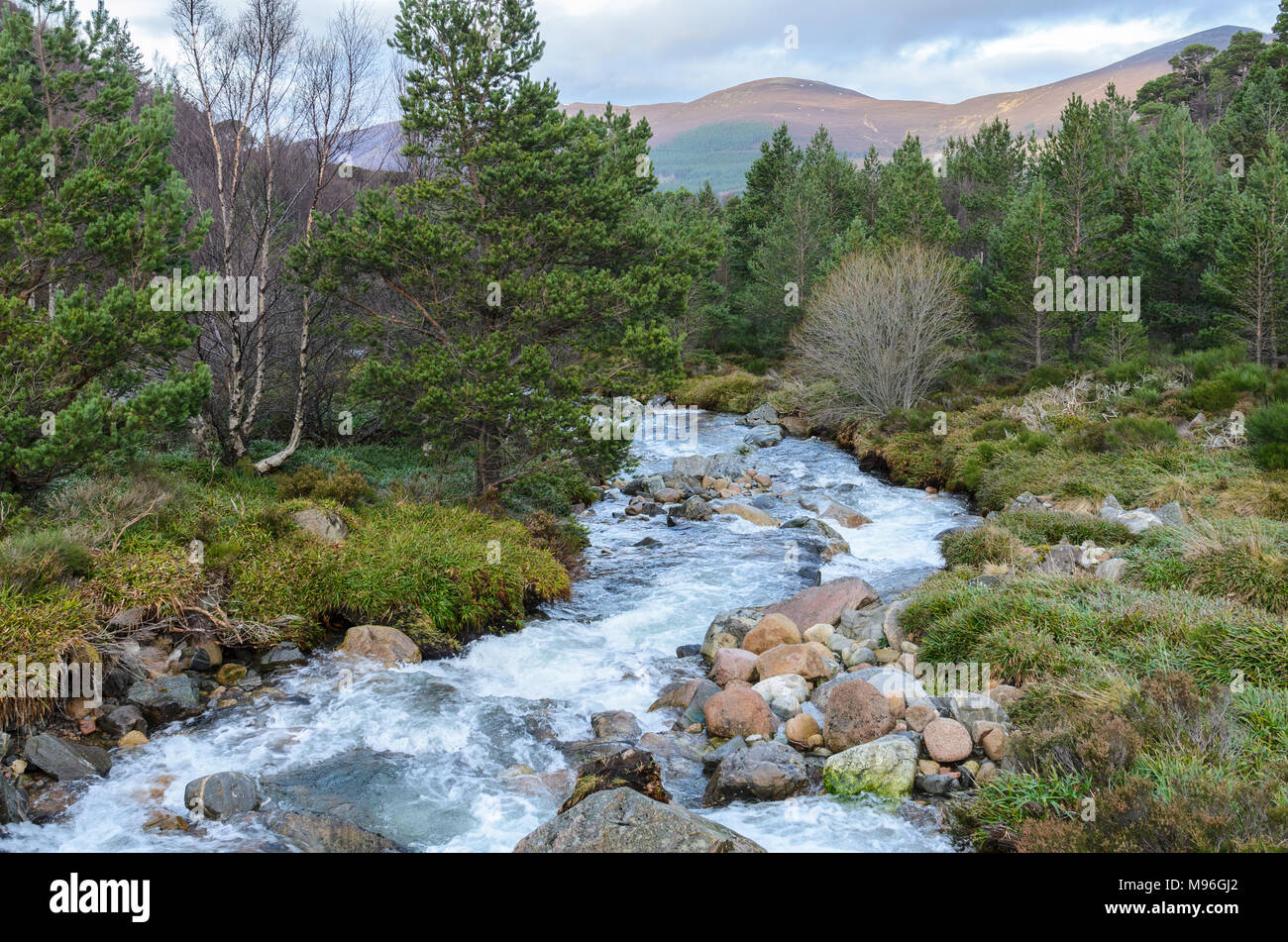 Río que fluye hacia el lado de montañas Cairngorm en las Highlands escocesas Foto de stock
