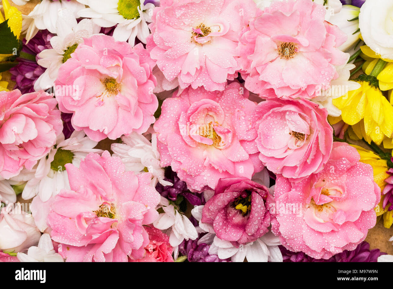 Las rosas silvestres y crisantemo - Ramo de flores coloridas dispuestas  como un natural cerca de la imagen de fondo con flores blancas y rosas  Fotografía de stock - Alamy