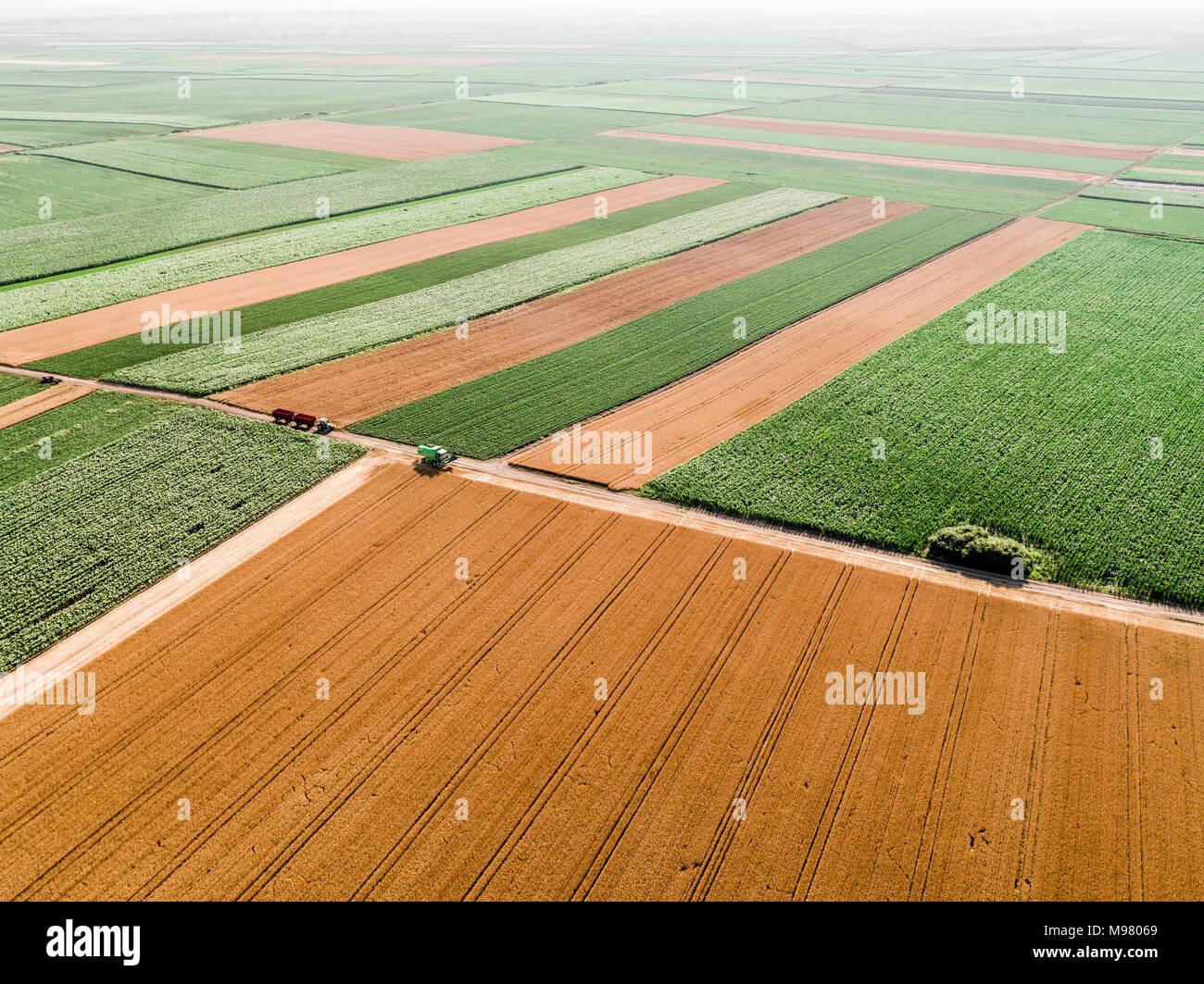 Serbia, Vojvodina, campos agrícolas, vista aérea en la temporada de verano Foto de stock