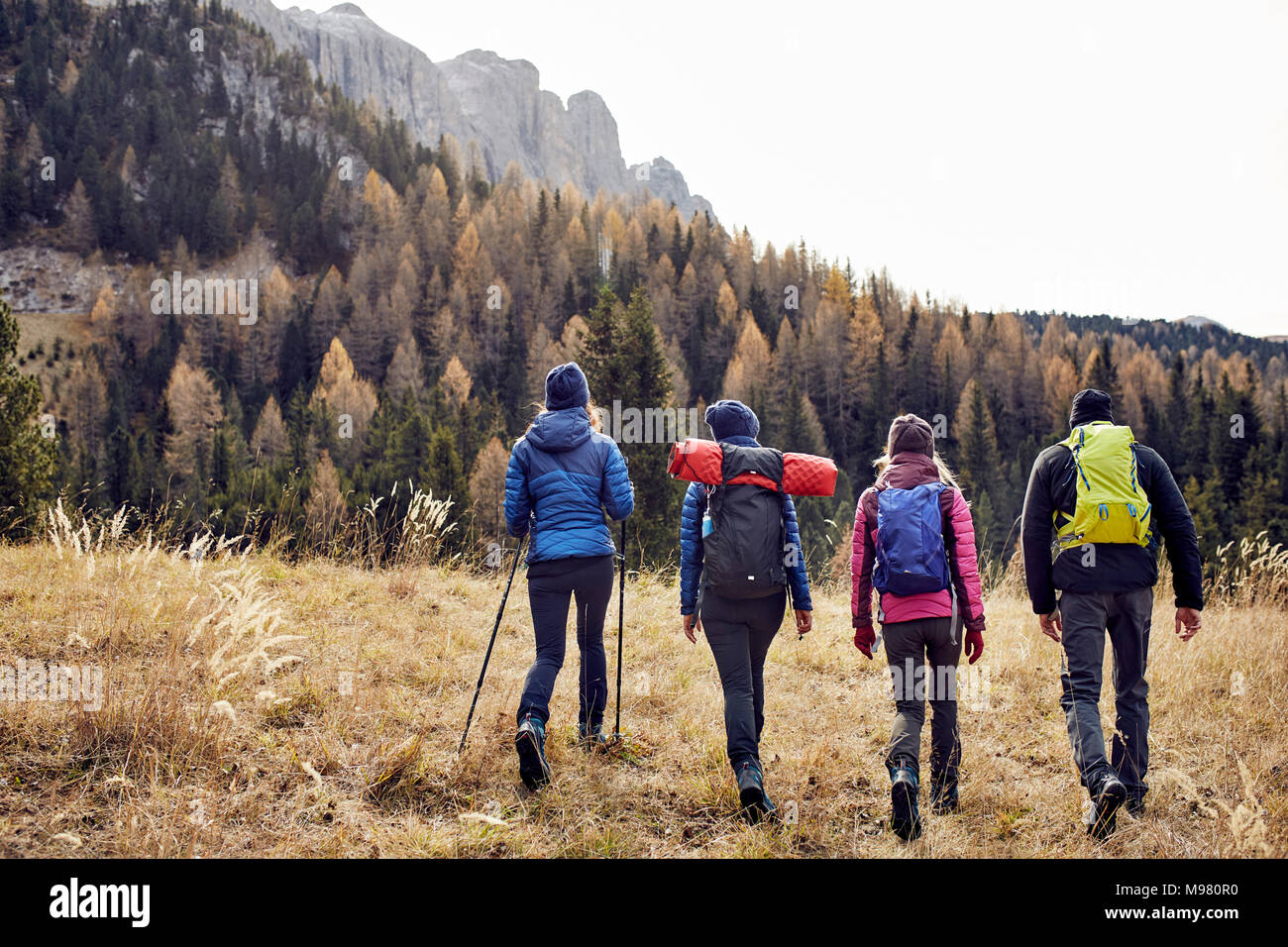 Un grupo de amigos, senderismo en la montaña Foto de stock