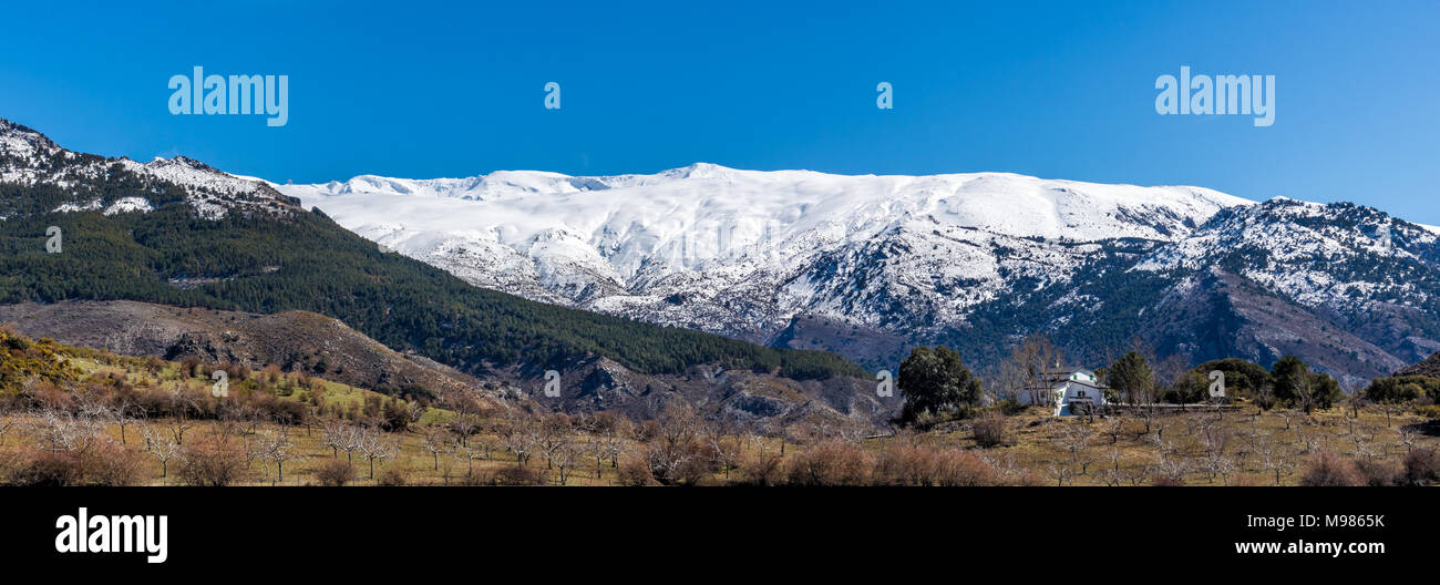 Un hermoso paisaje mediterráneo con montañas nevadas en el fondo. Foto de stock