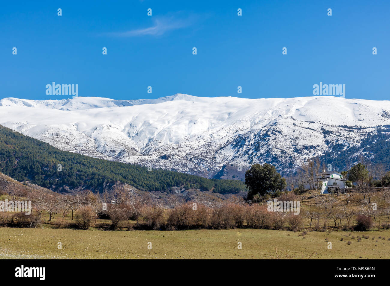 Un hermoso paisaje mediterráneo con montañas nevadas en el fondo. Foto de stock