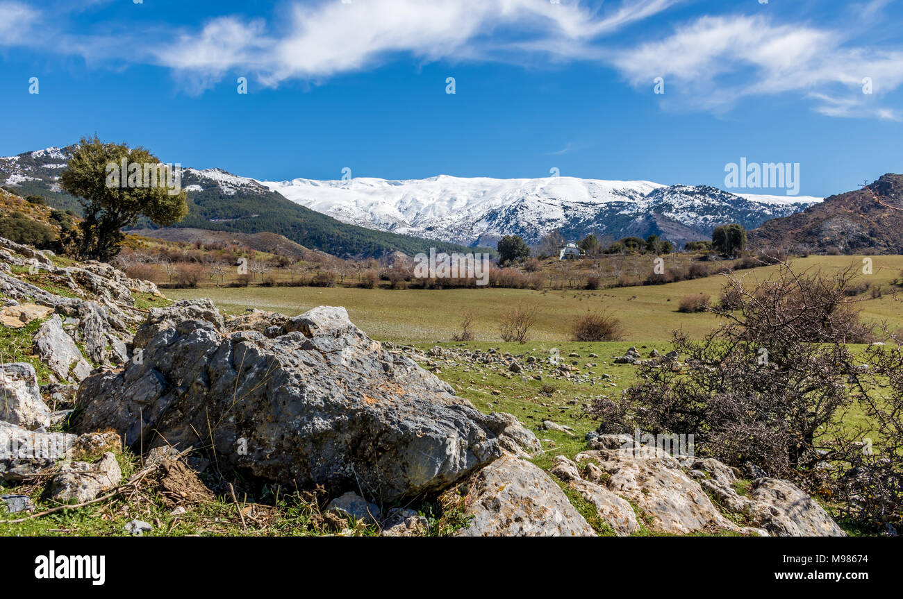 Un hermoso paisaje mediterráneo con montañas nevadas en el fondo. Foto de stock