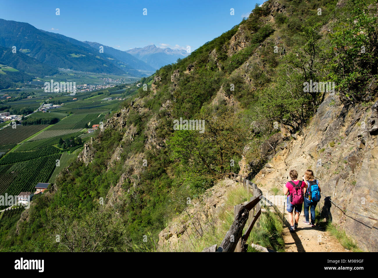 Sonnenberger Panoramaweg, Naturns, Vinschgau, Südtirol, Italien Foto de stock