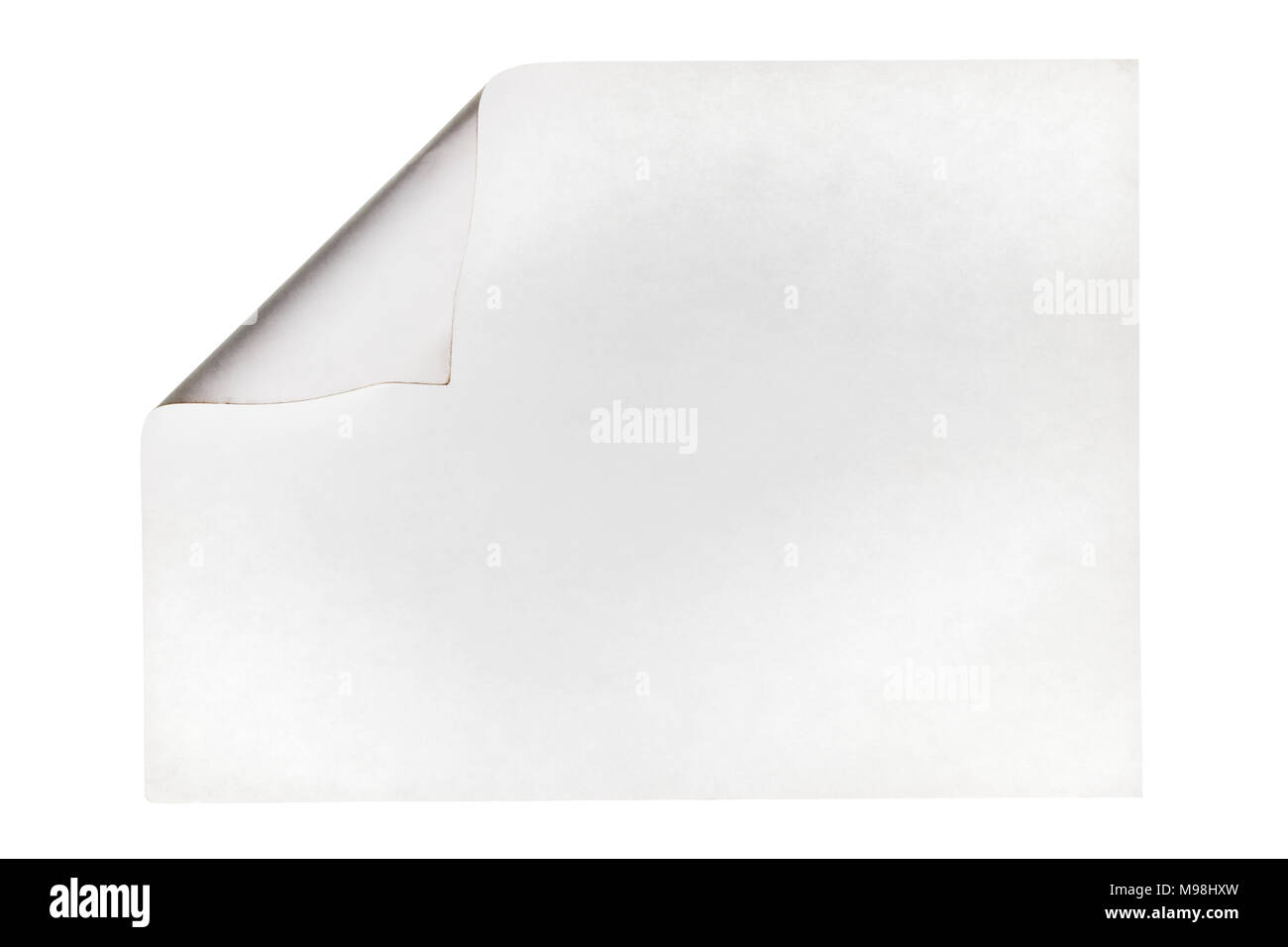 Enrollado pedazo de papel con espacio para el texto. Aislado sobre