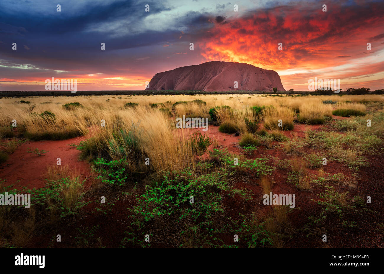 Uluru (Ayers rock) - Territorio del Norte Foto de stock