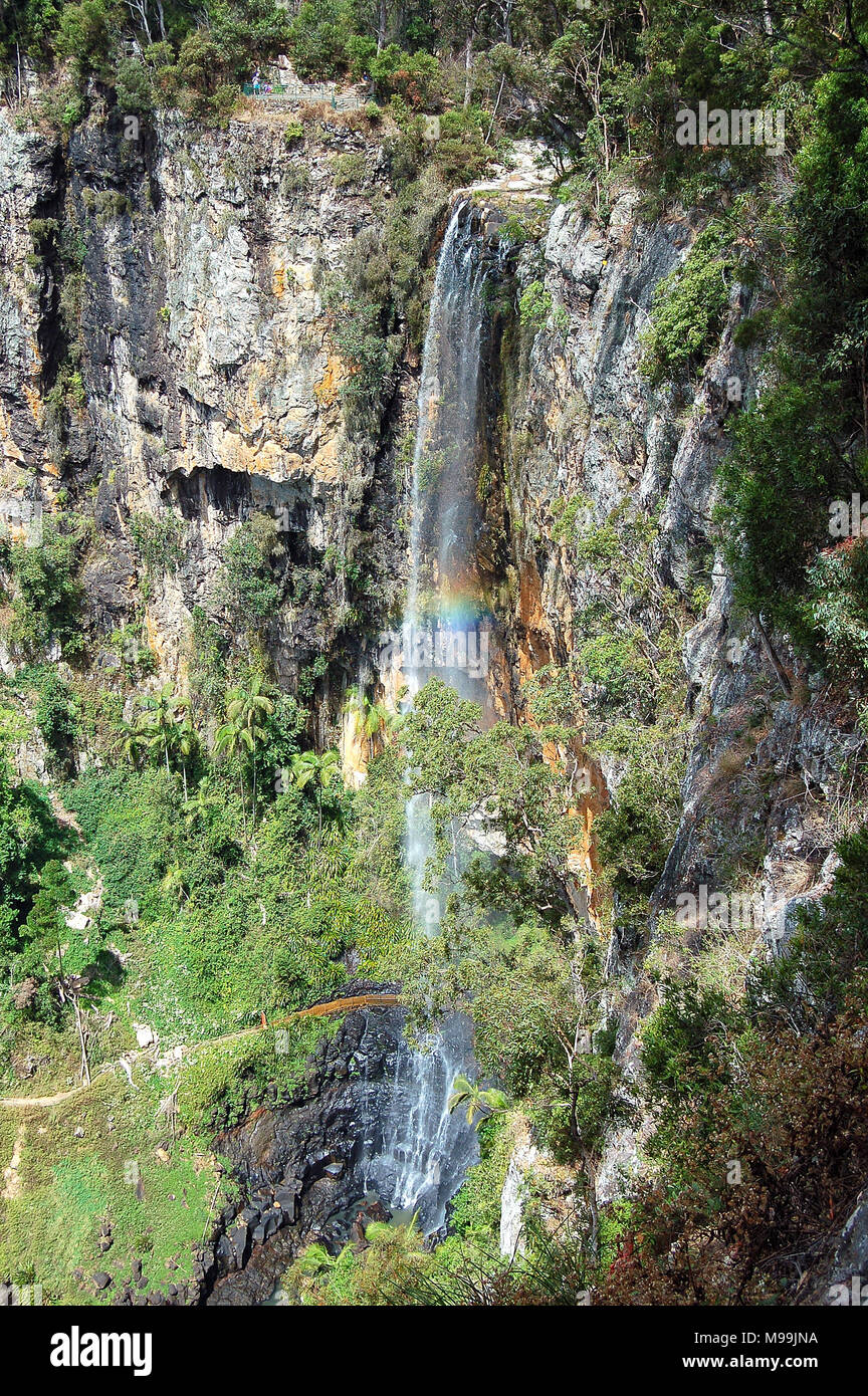 El majestuoso Purling Brook cae en las selvas de Gondwana - Springbrook, Queensland, Australia Foto de stock