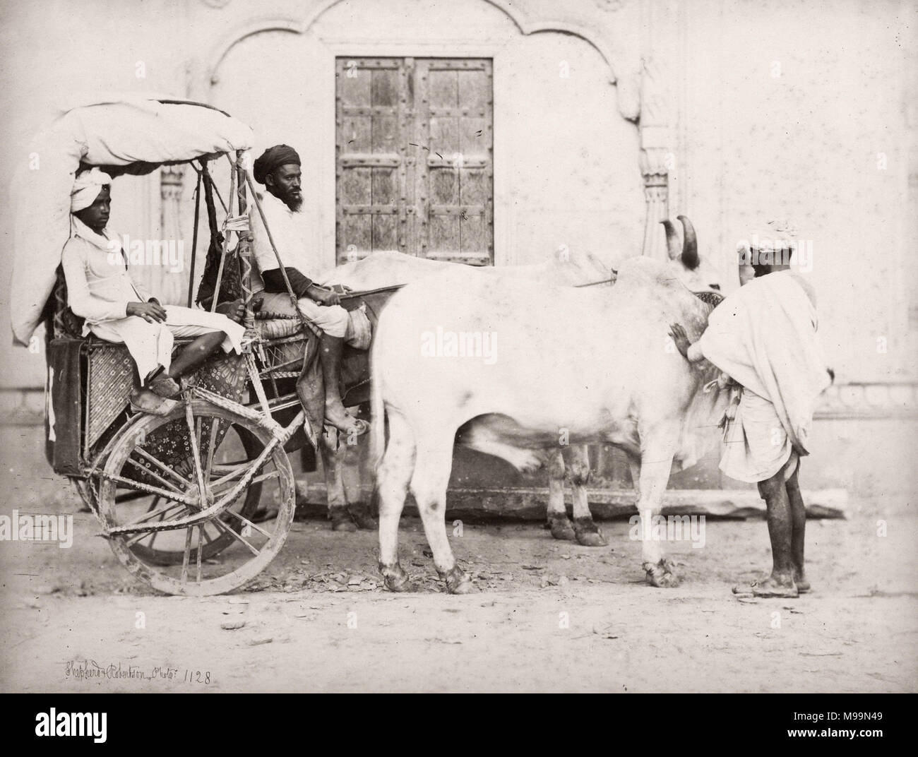 Vintage del siglo xix fotografía India - Pastor carro de bueyes y Robertson, 1860 Foto de stock