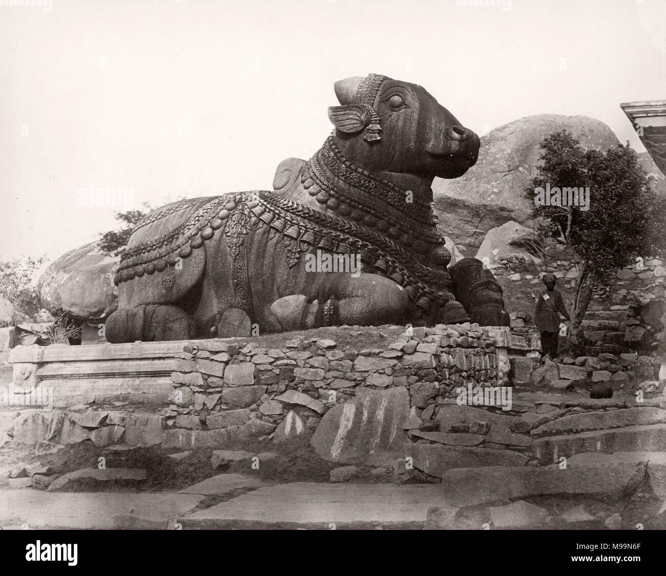 Vintage del siglo xix fotografía India - colina Chamundi toro de piedra, Mysore Foto de stock