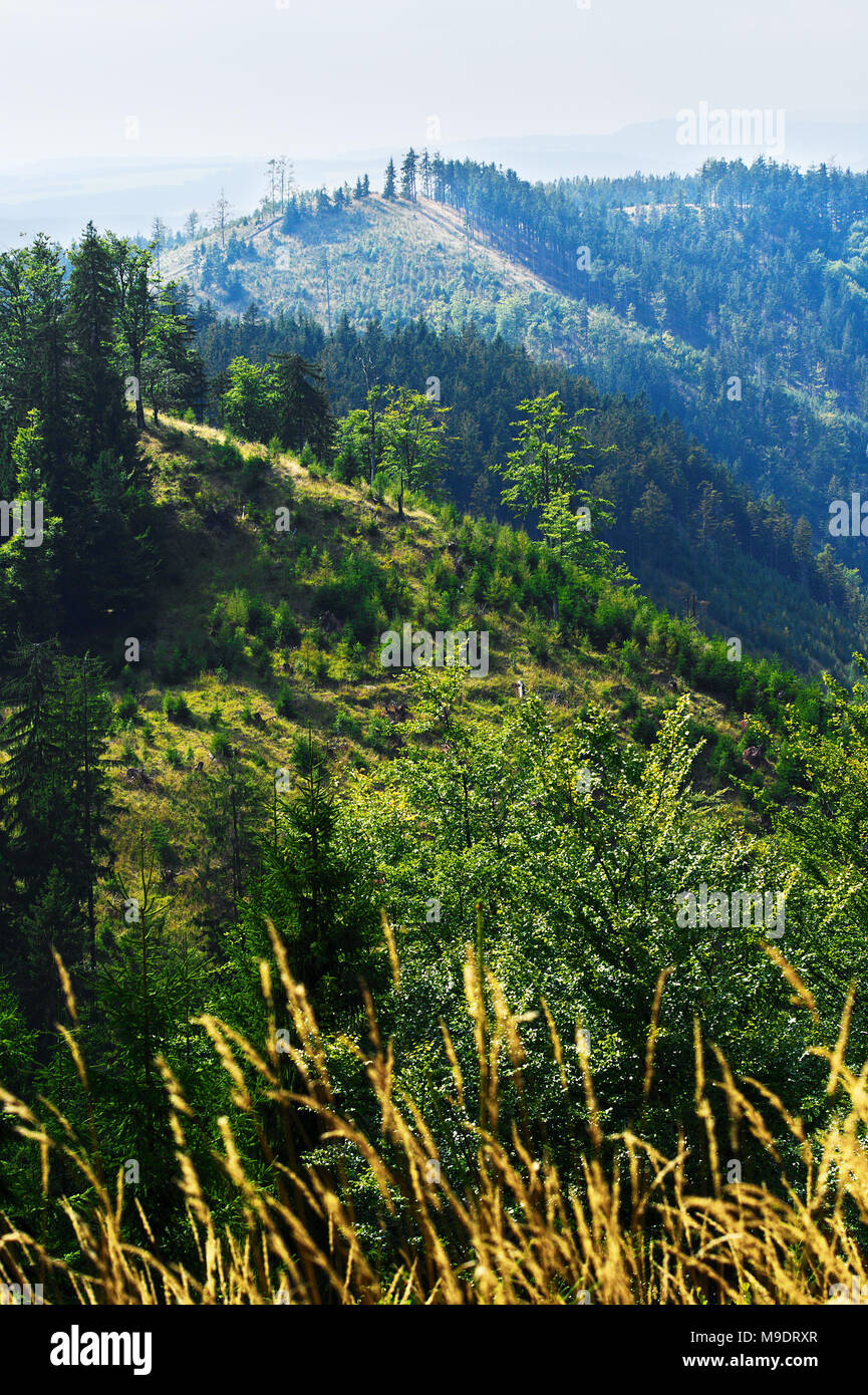 Soleado paisaje de montaña de piedra Montañas (Gory Kamienne) en los