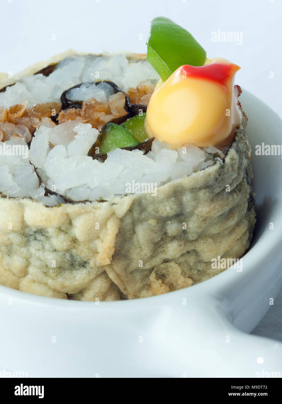 Plato de sushi, un pedazo de cerca Foto de stock