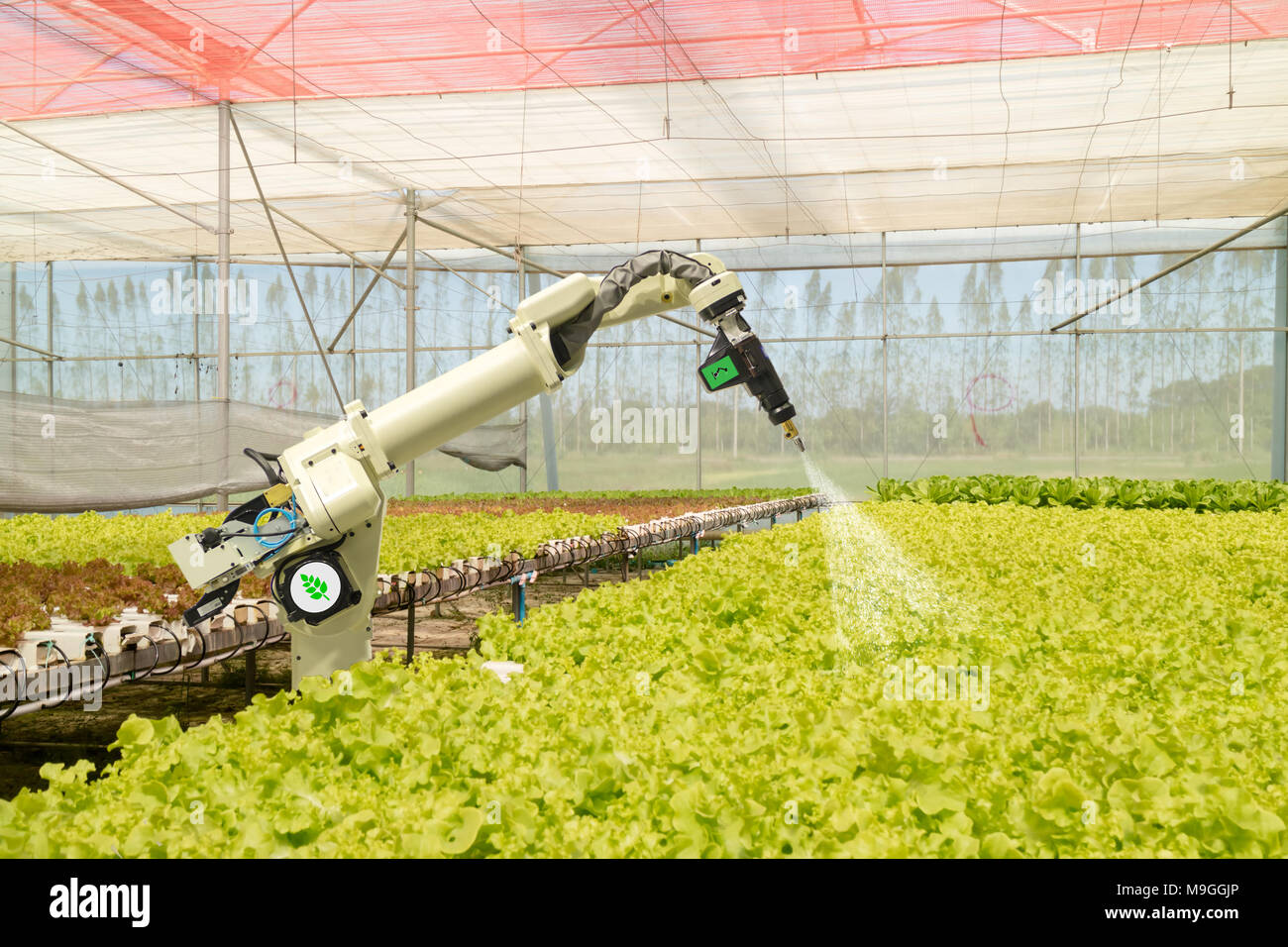 Robótica inteligente concepto futurista en la agricultura, los agricultores  del robot (automatización) debe estar programada para trabajar para  pulverizar productos químicos o fertilizantes, aumentar effici Fotografía  de stock - Alamy