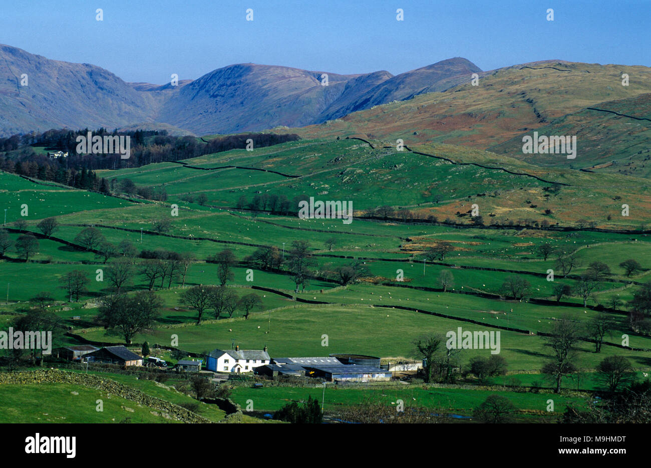 Lake District, paisaje agrícola de la colina, Cumbria, Inglaterra, Reino Unido. GB. Foto de stock