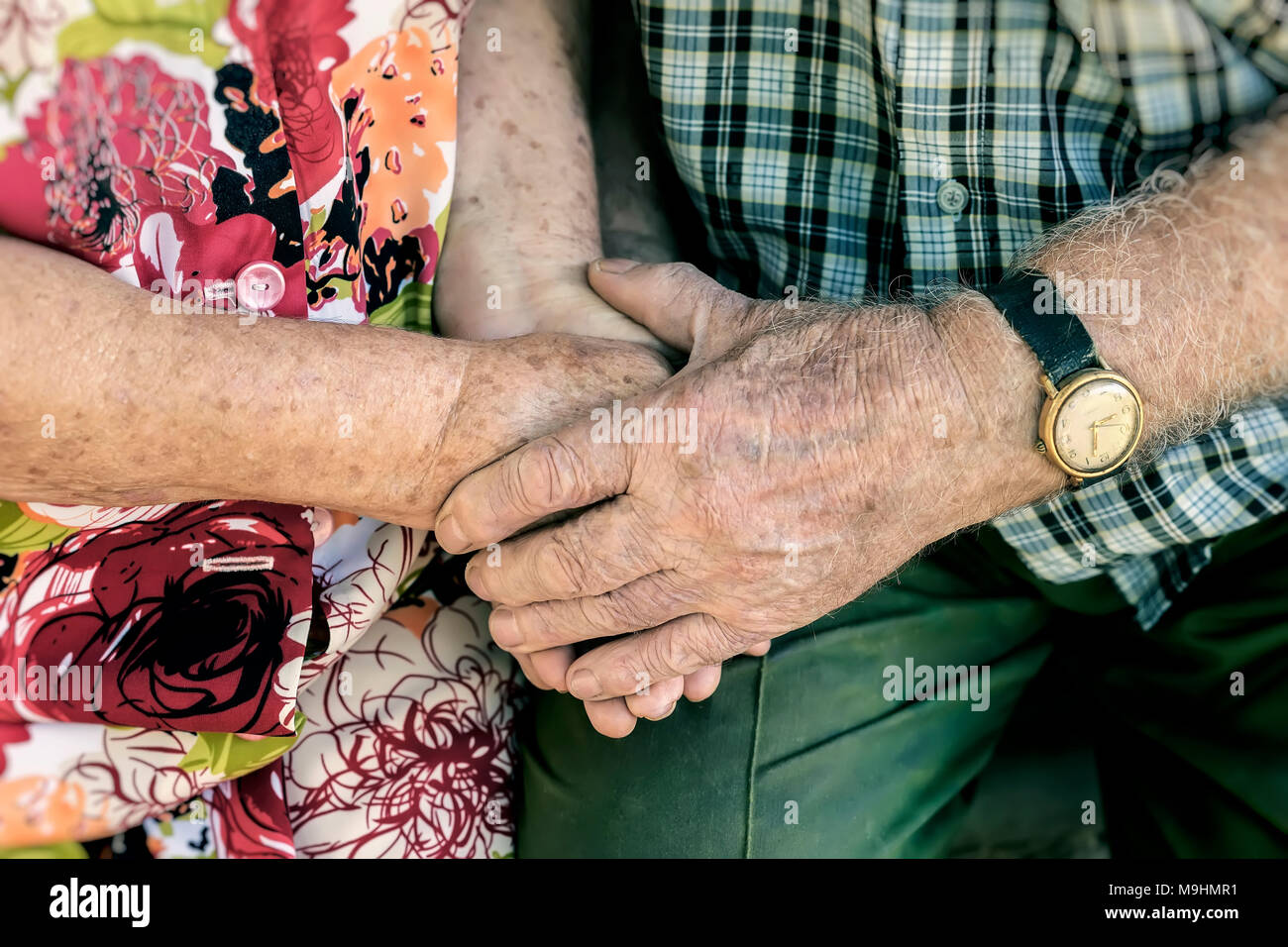 Las manos de la pareja de ancianos, tomados de las manos de los ancianos juntos cerca, concepto de las relaciones, el matrimonio y las personas de edad, la amistad y el amor Las manos de la pareja de ancianos, tomados de las manos de los ancianos juntos cerca, concepto de las relaciones, el matrimonio y las personas de edad, la amistad y el amor