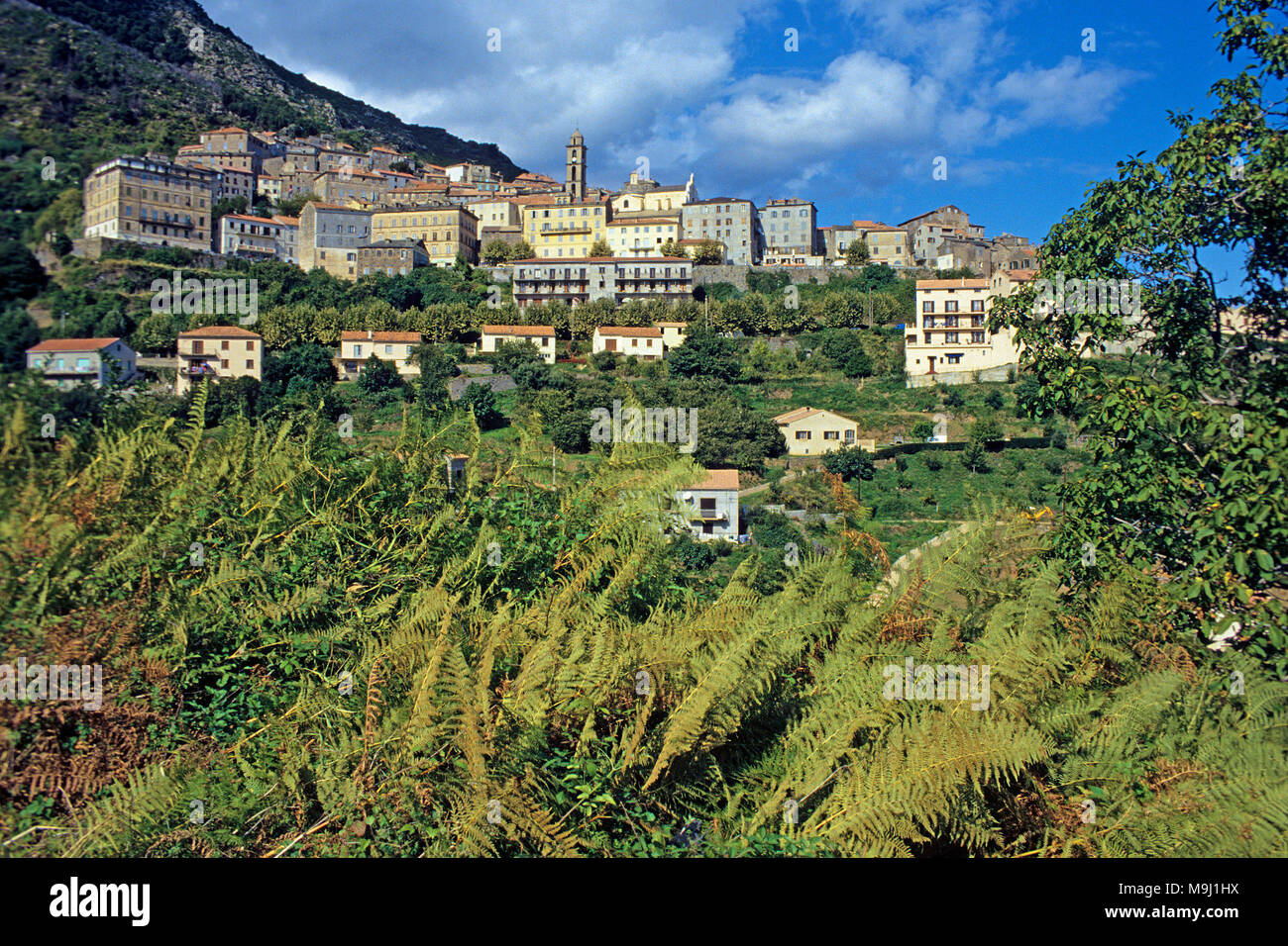 La pintoresca aldea de montaña Cervione, Córcega, Francia, el mar Mediterráneo, Europa Foto de stock