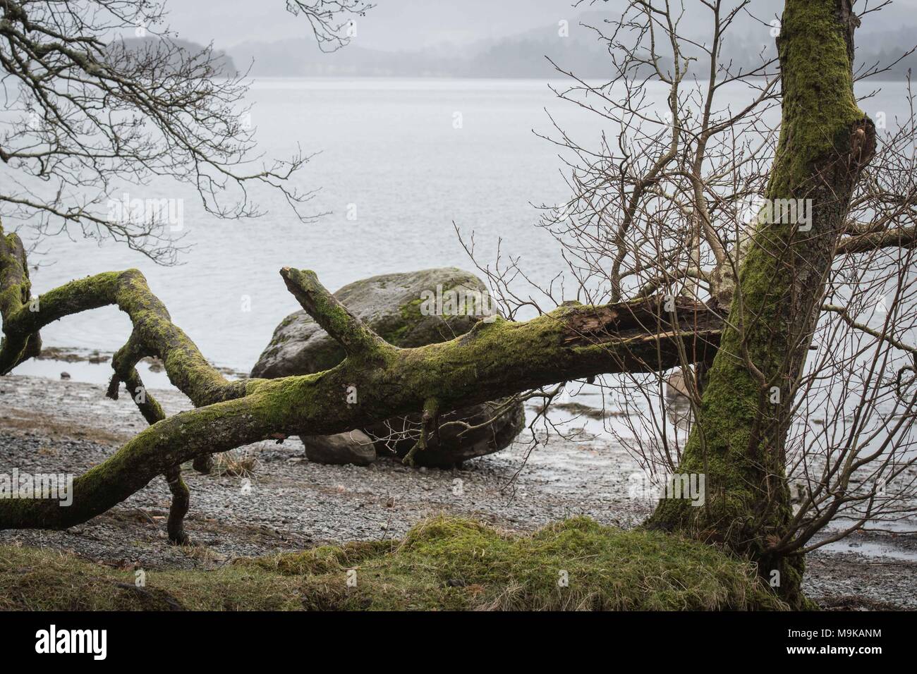 Lake District, Inglaterra, Reino Unido Foto de stock