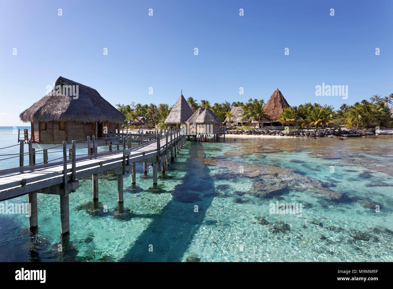 Bungalows, bungalows de agua en el muelle de laguna, Tikehau Pearl Beach Resort, Tikehau Atolón Archipiélago Tuamotu Foto de stock