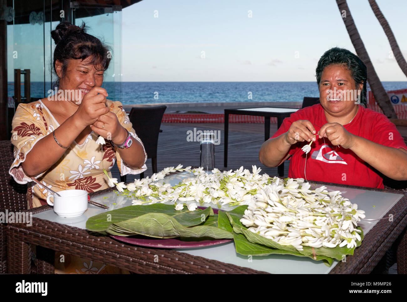 Dos mujeres, polinesios, hilos flores blancas, flores para collares, Rangiroa, las islas de la sociedad, Islas de Barlovento Foto de stock