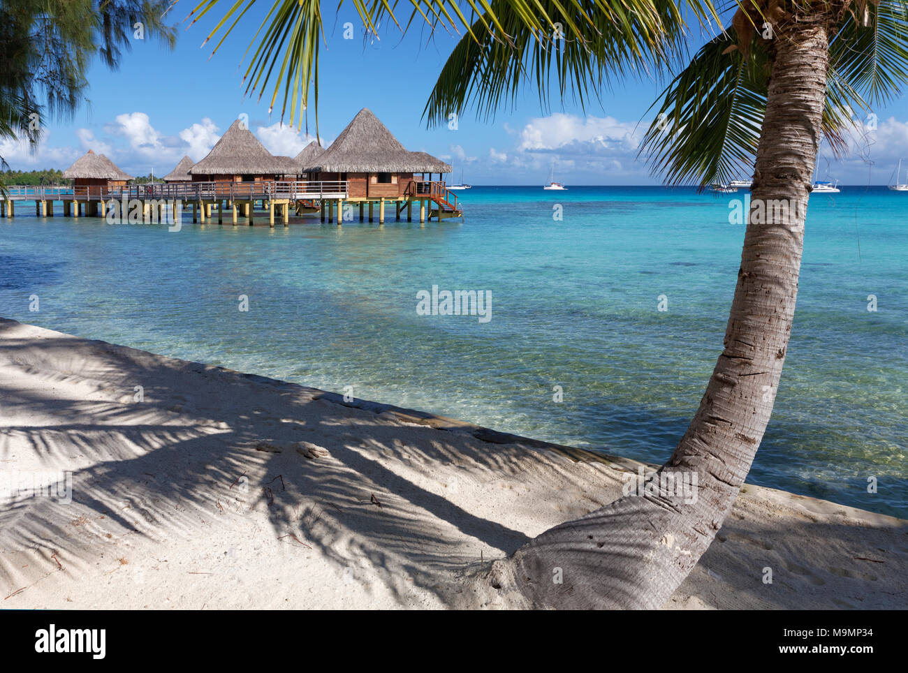 Bungalows, bungalows sobre el agua de la playa con palmeras, el Hotel Resort & Spa KiaOra, Rangiroa, las Islas de la sociedad, Islas de Barlovento Foto de stock