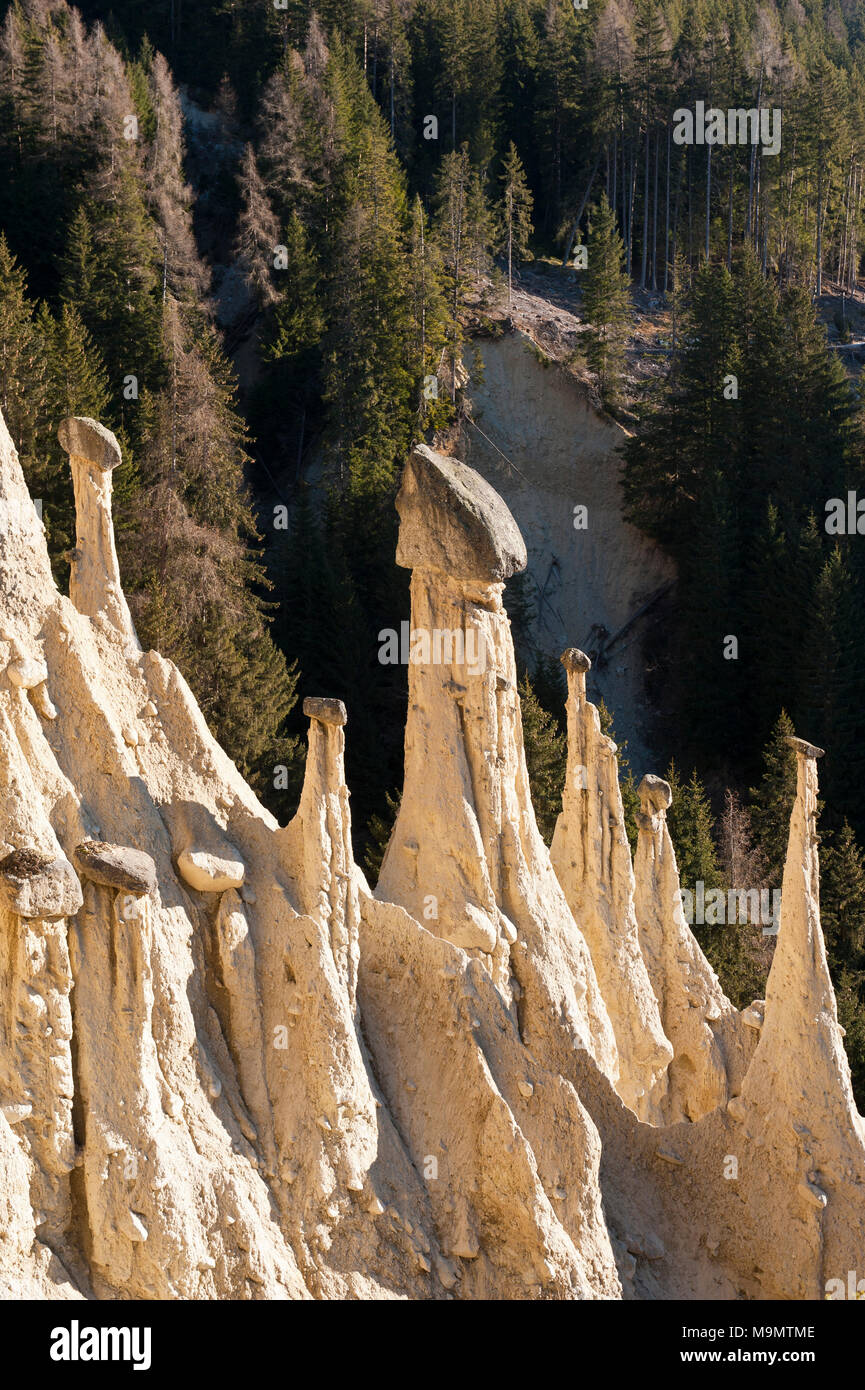 Monumento Natural, chimeneas de las hadas de Platten, Piramidi di terra di Plata, Oberwielenbach, gutapercha, perca, Pustertal, Tirol del Sur Foto de stock
